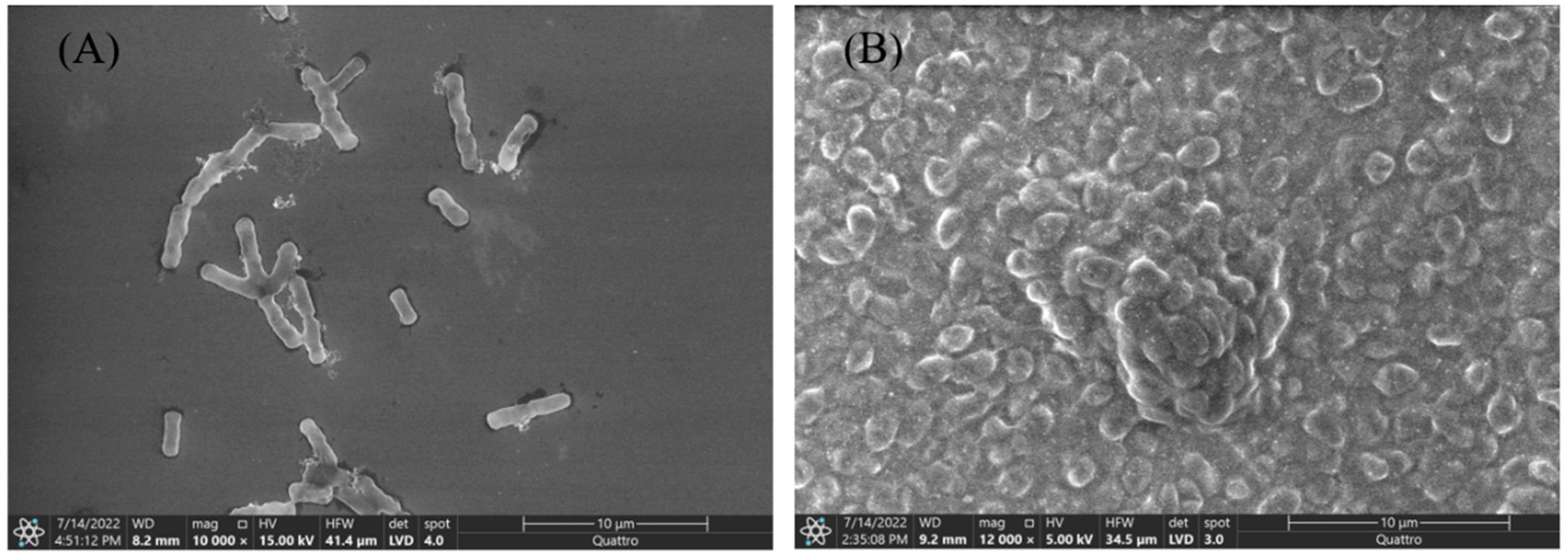 Energies 16 03807 g003