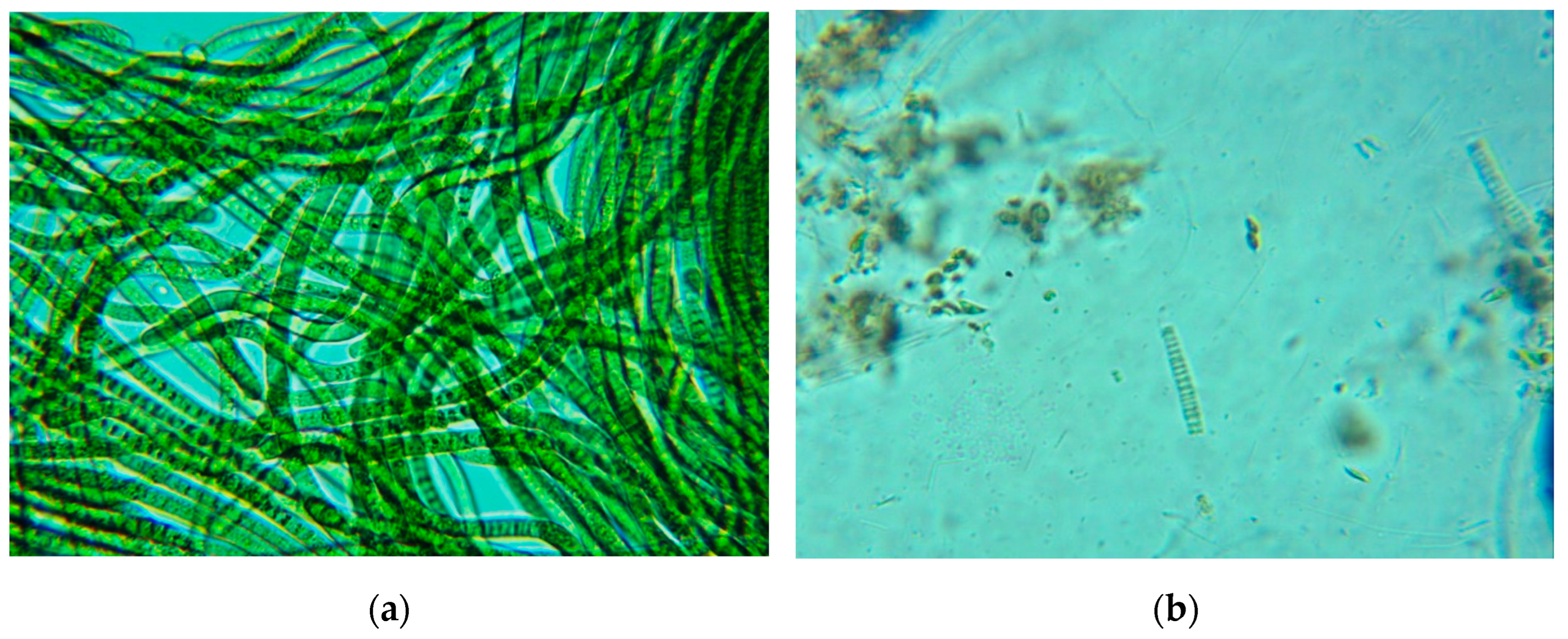 Energies 16 03971 g003 Energies 16 03971 g003