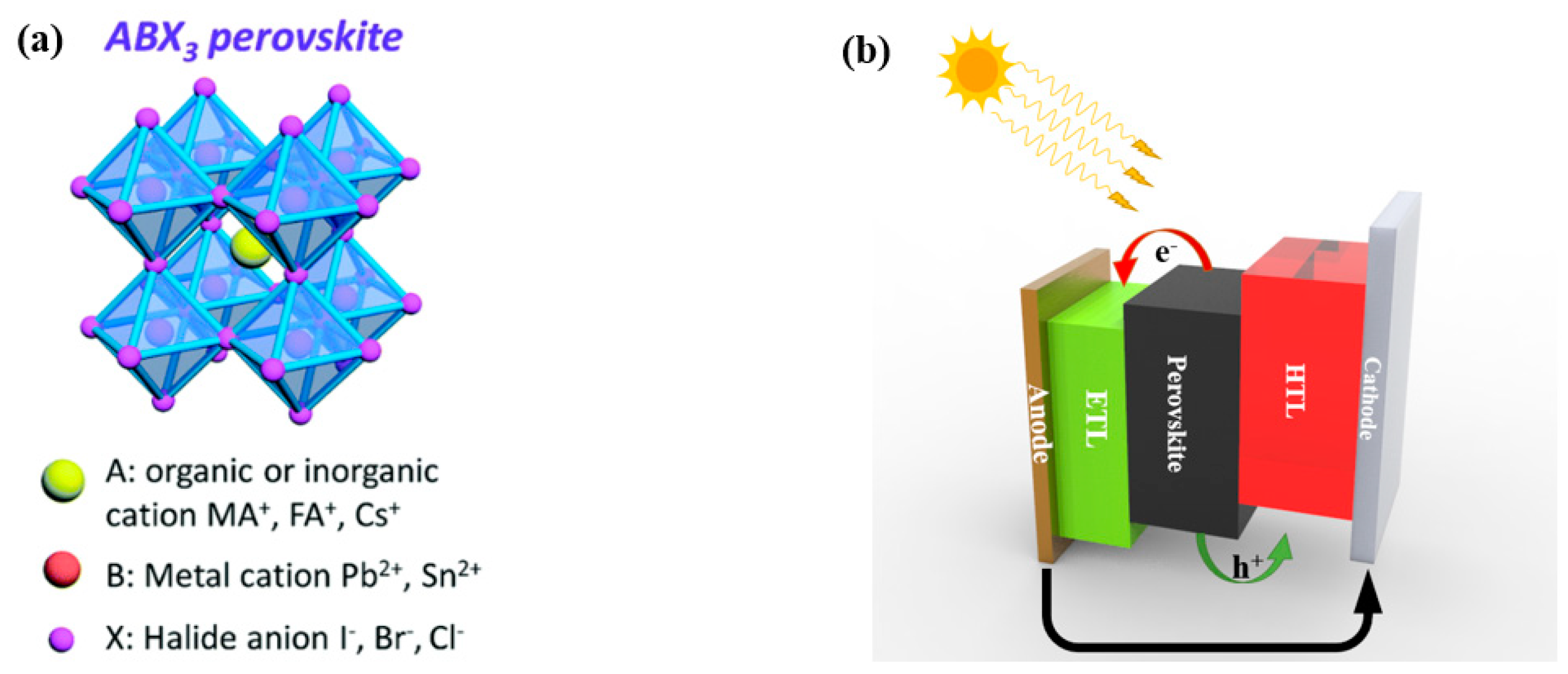 洋書 Hybrid Perovskite Solar Cells Hybrid Perovskite Solar Cells: Opportunities and Challenges