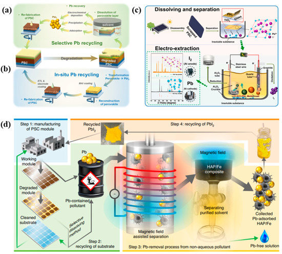 Toxicity of Perovskite Solar Cells