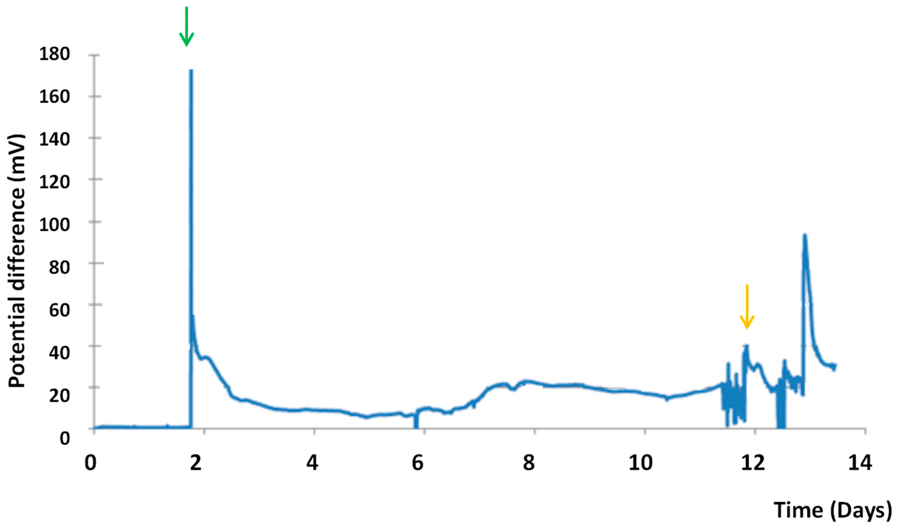 Energies 16 04238 g007