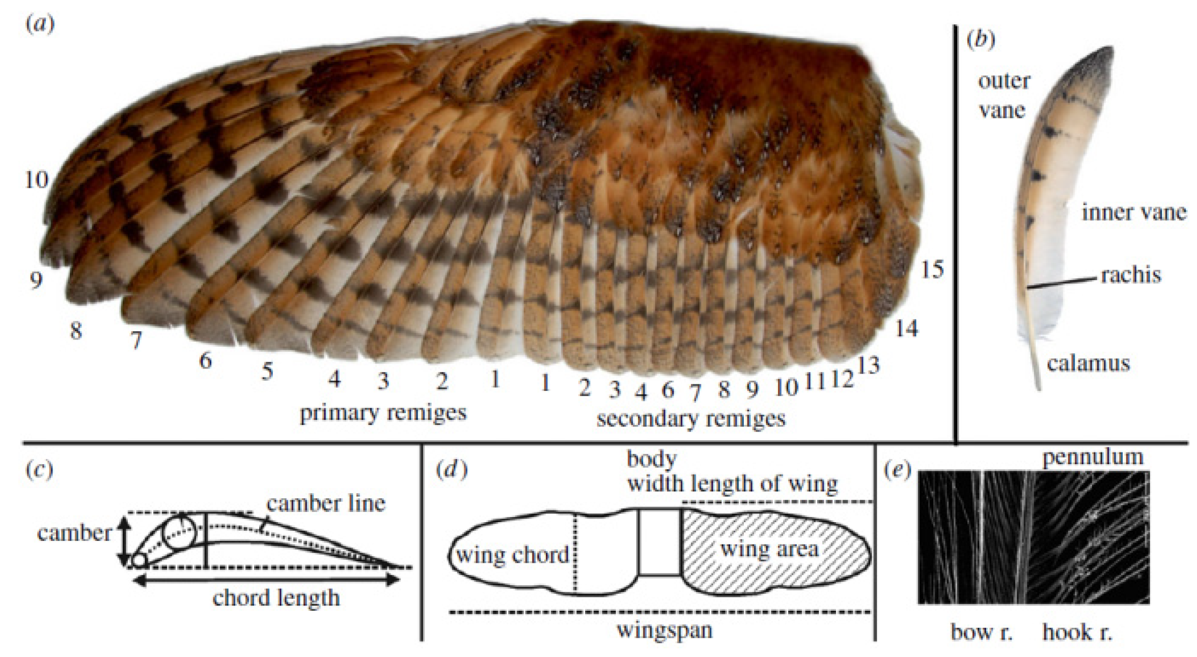 Energies 16 04331 g012 Energies 16 04331 g012