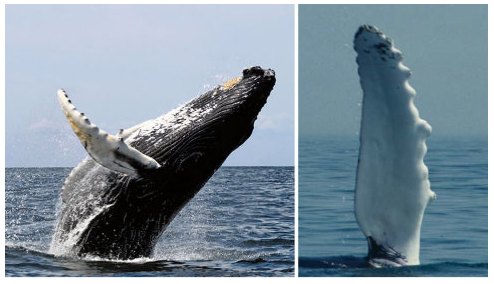 Energies 16 04331 g015 Energies 16 04331 g015