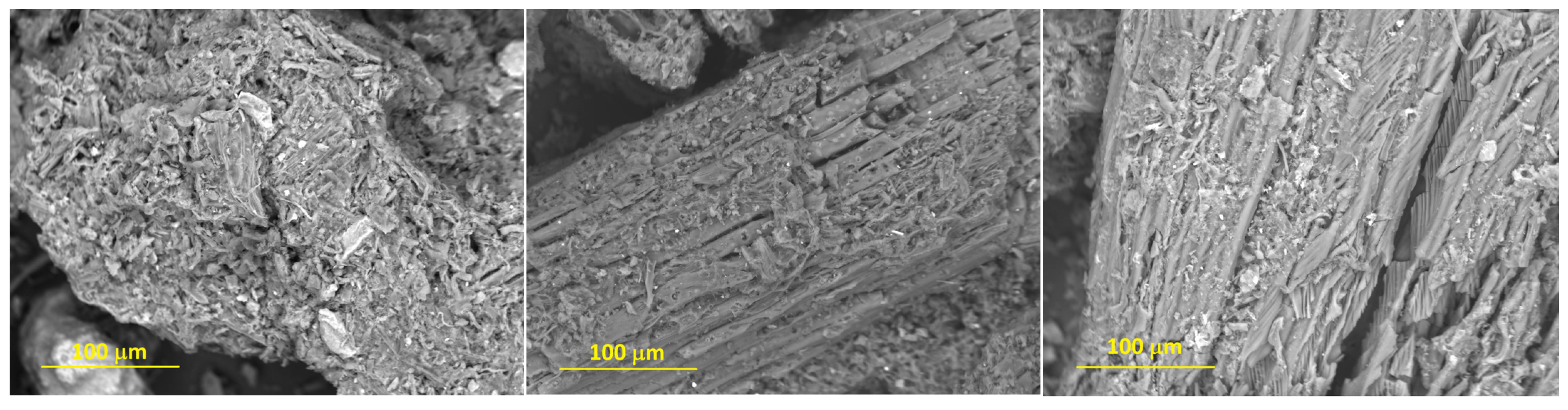 Energies 16 04335 g003a