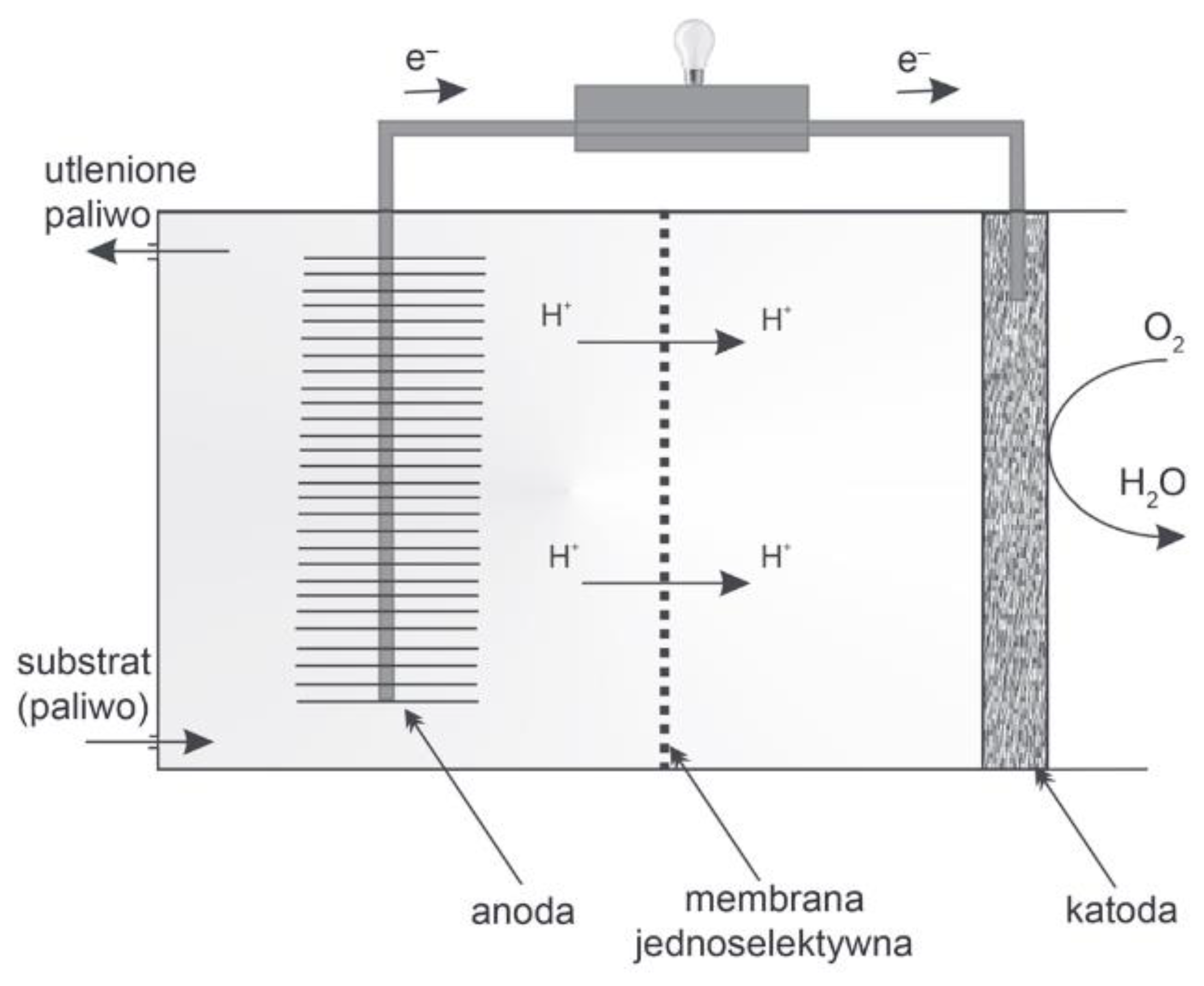 Energies 16 04400 g007