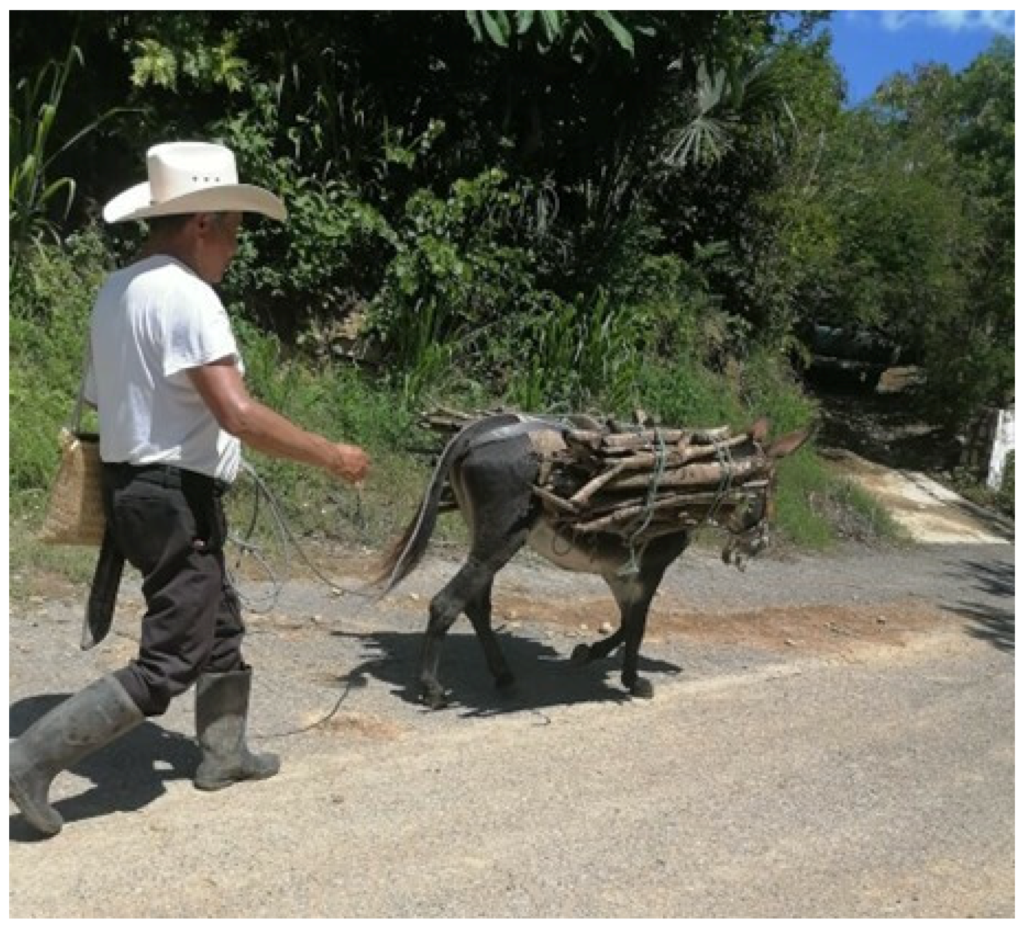 Energies 16 04479 g017