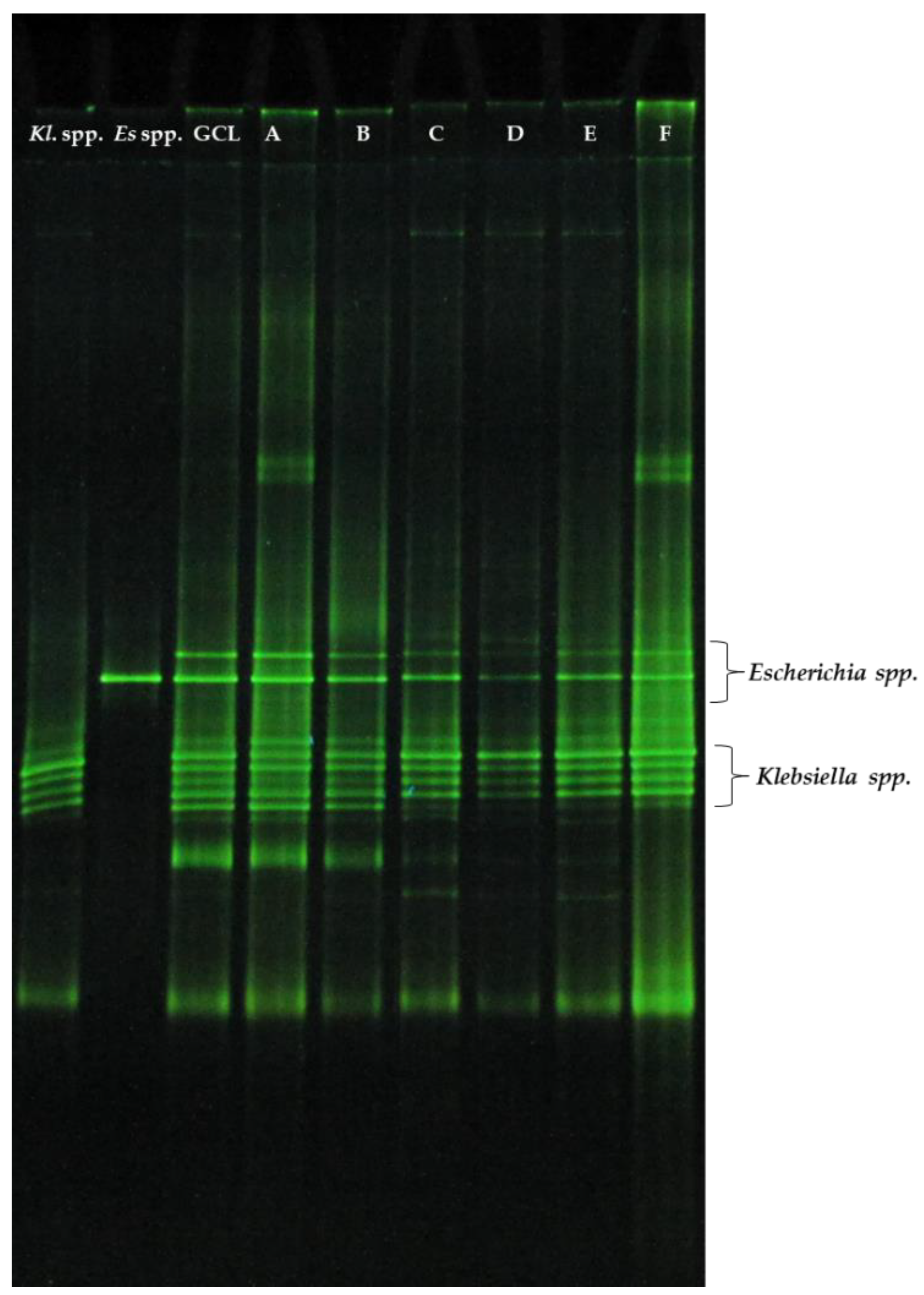 Energies 16 04490 g005