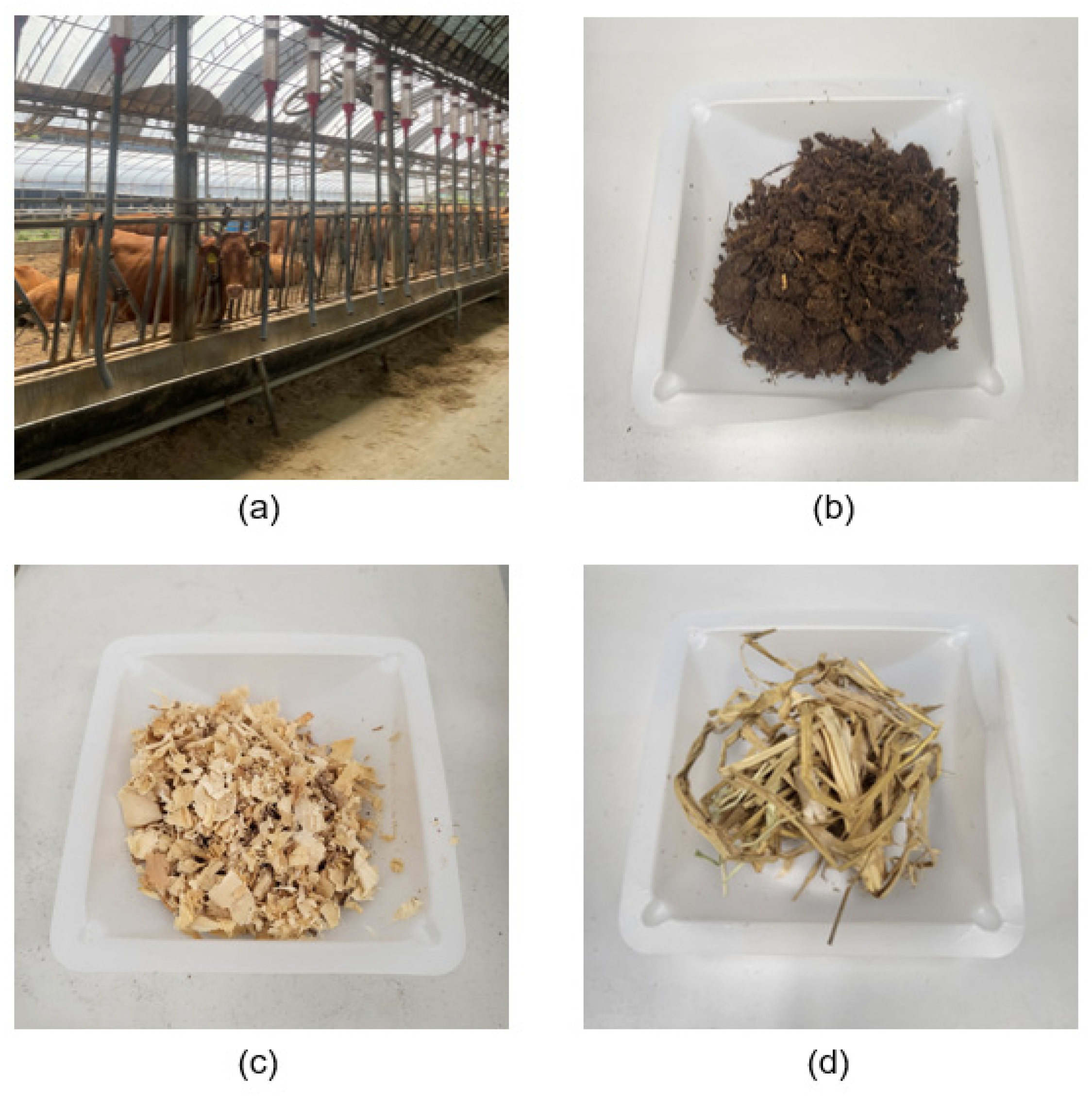 Energies 16 04505 g001