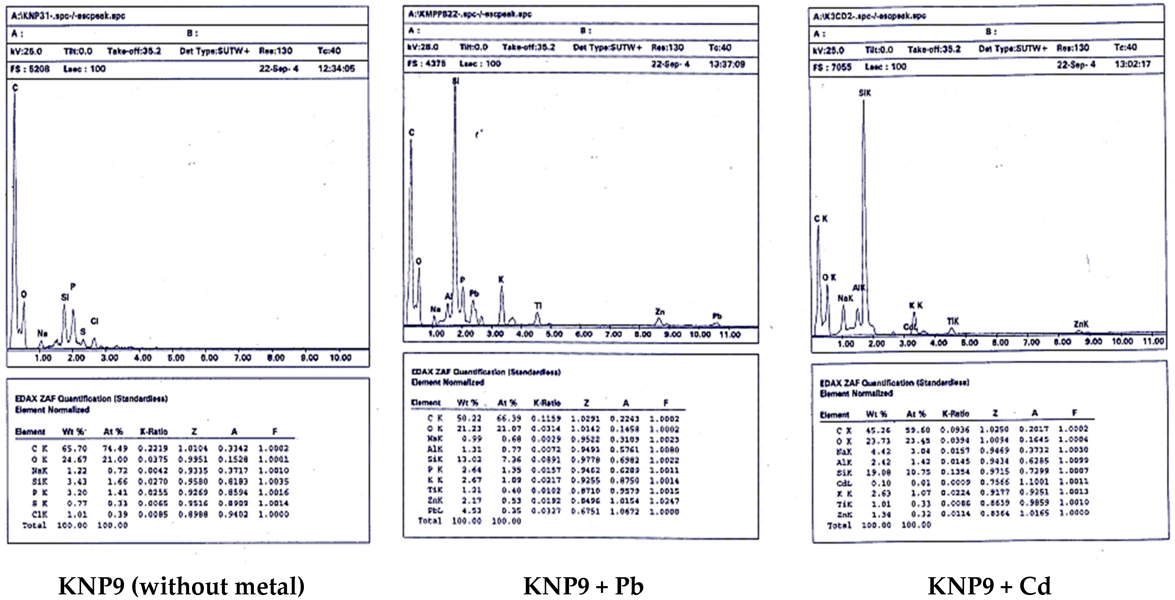 Energies 16 04508 g002 Energies 16 04508 g002