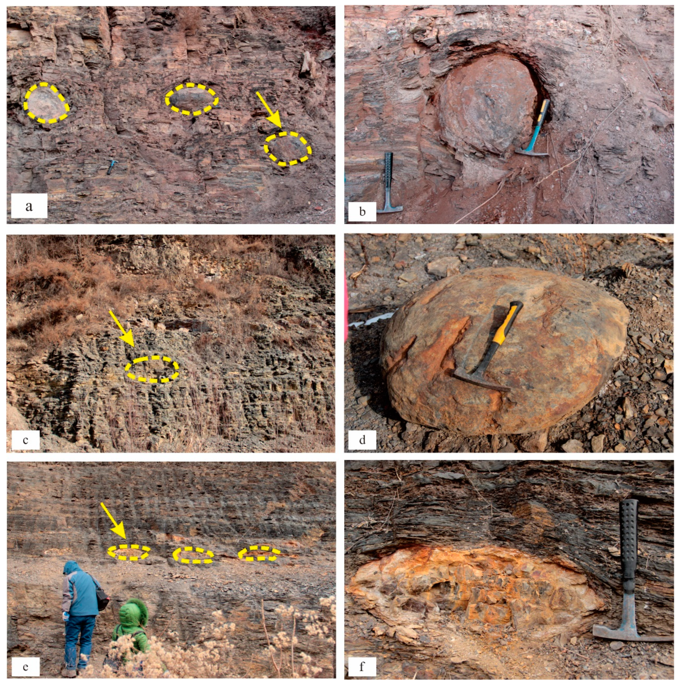 Energies 16 04523 g003