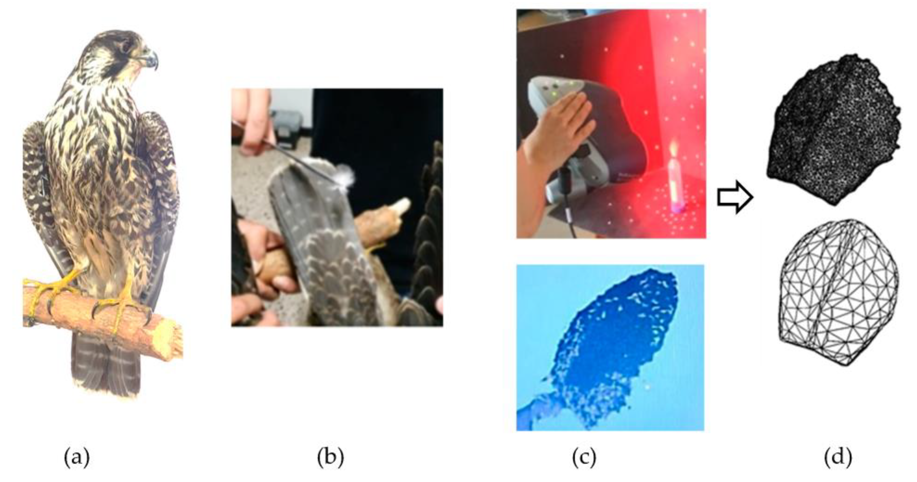 Energies 16 04538 g003