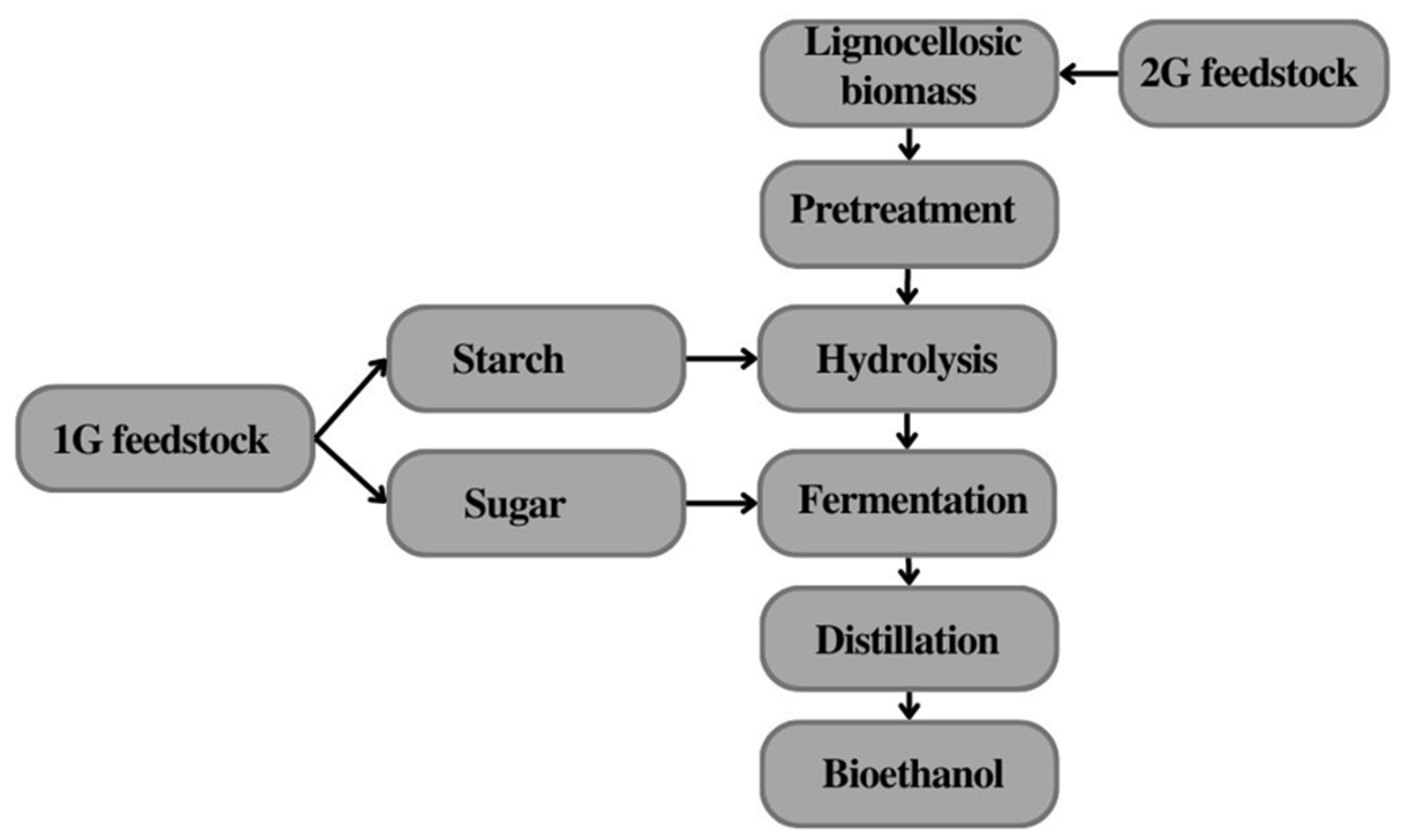 Bioethanol Yeast And Enzyme Strains For Sscf Commericially Availible Energies | Free Full-Text | Prospects of Bioethanol from Agricultural