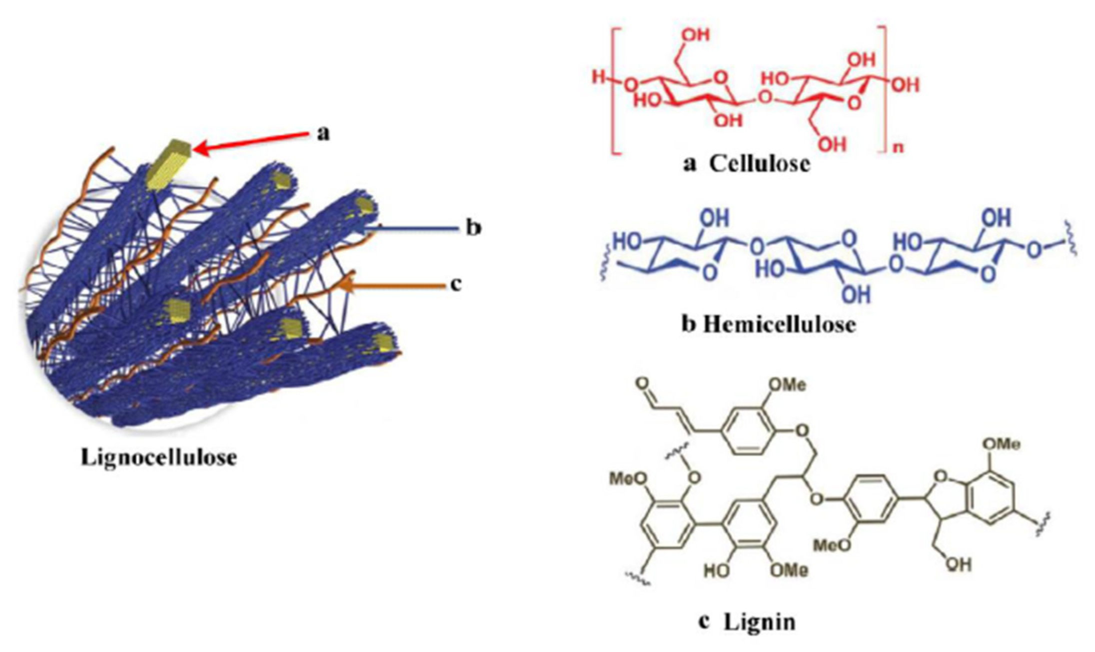 Energies 16 04657 g006