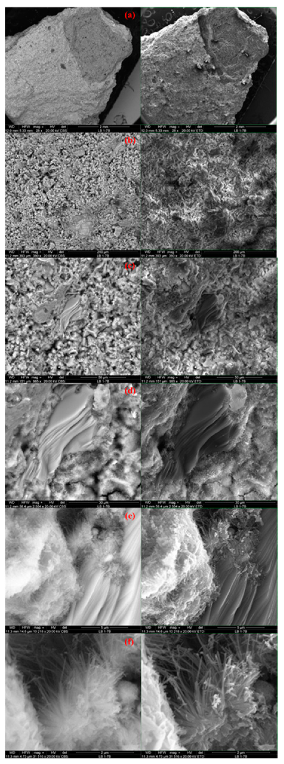 Energies 16 04727 g010