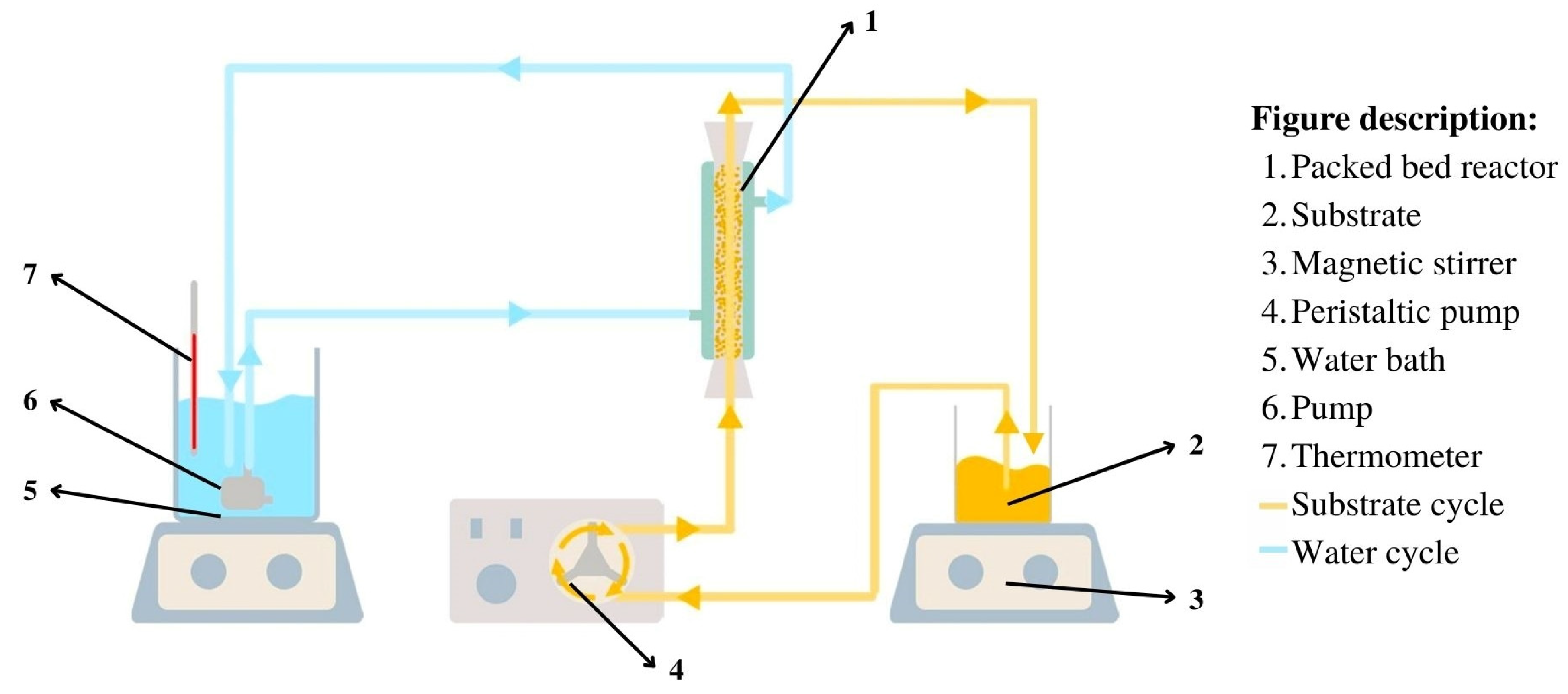 Energies 16 04765 g002