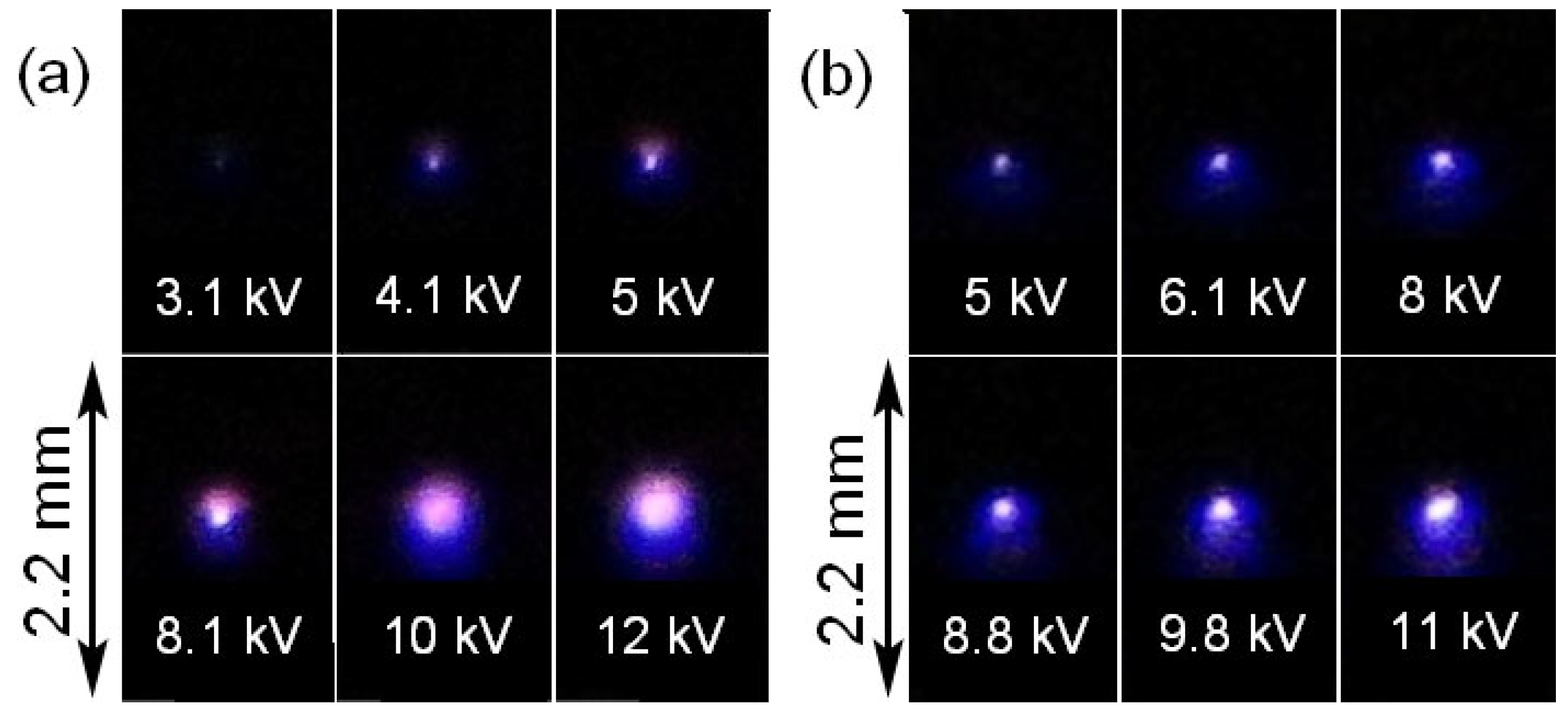 Energies 16 04861 g010