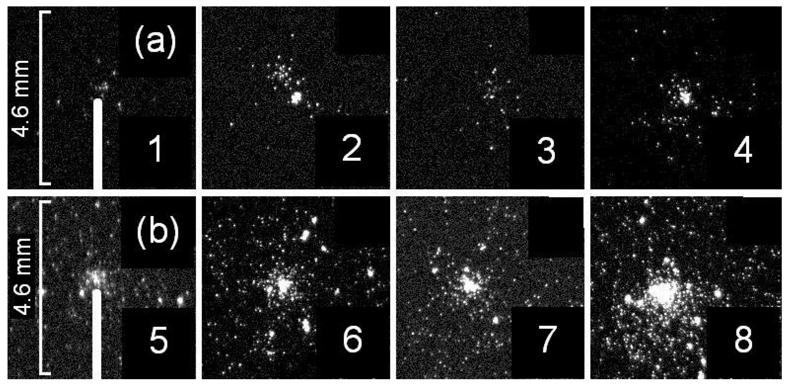 Energies 16 04861 g012