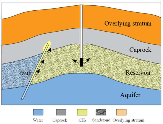 Underground gas storage as a promising natural methane bioreactor and  reservoir? - ScienceDirect