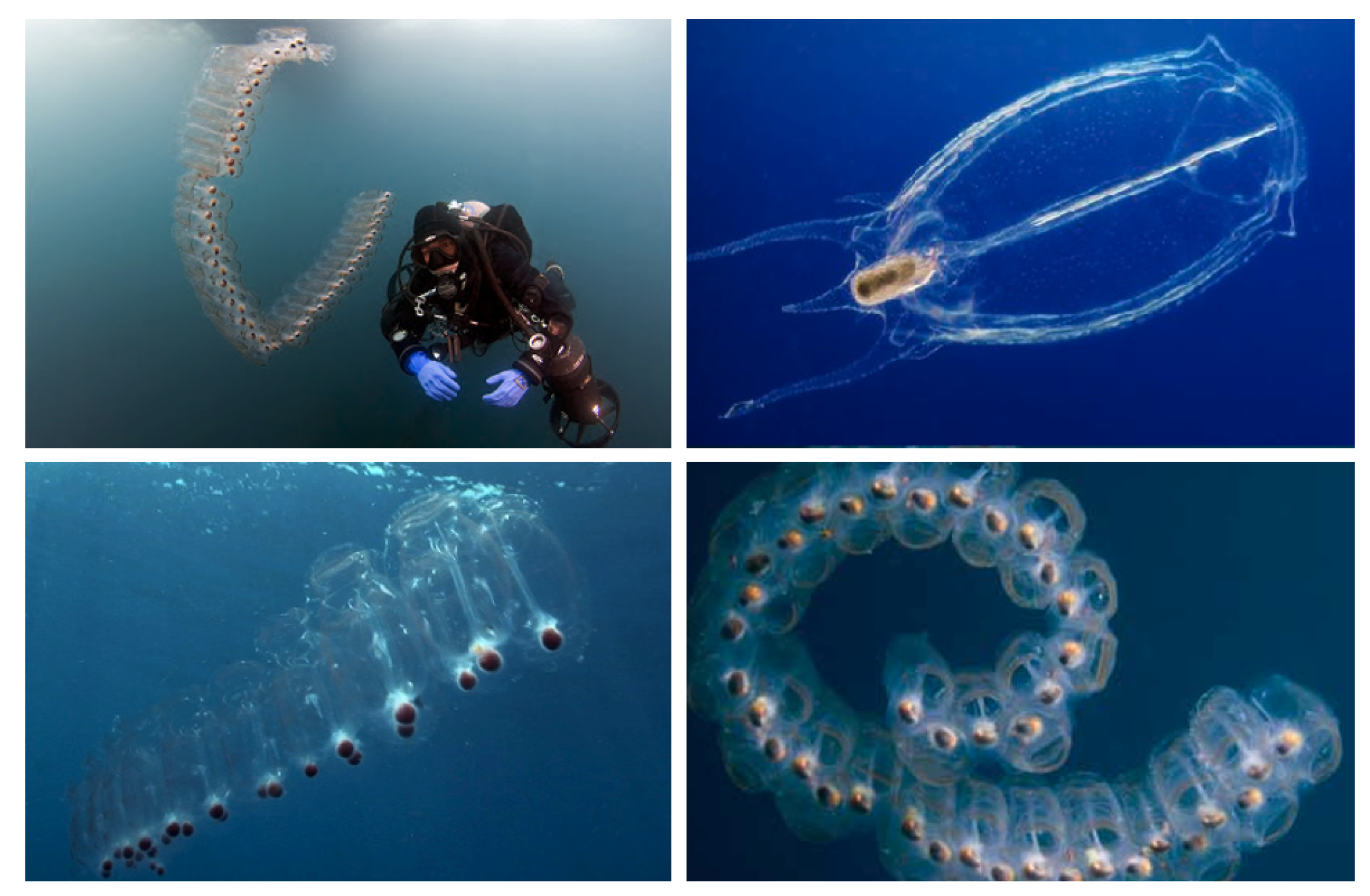 Energies 16 04973 g006 Energies 16 04973 g006