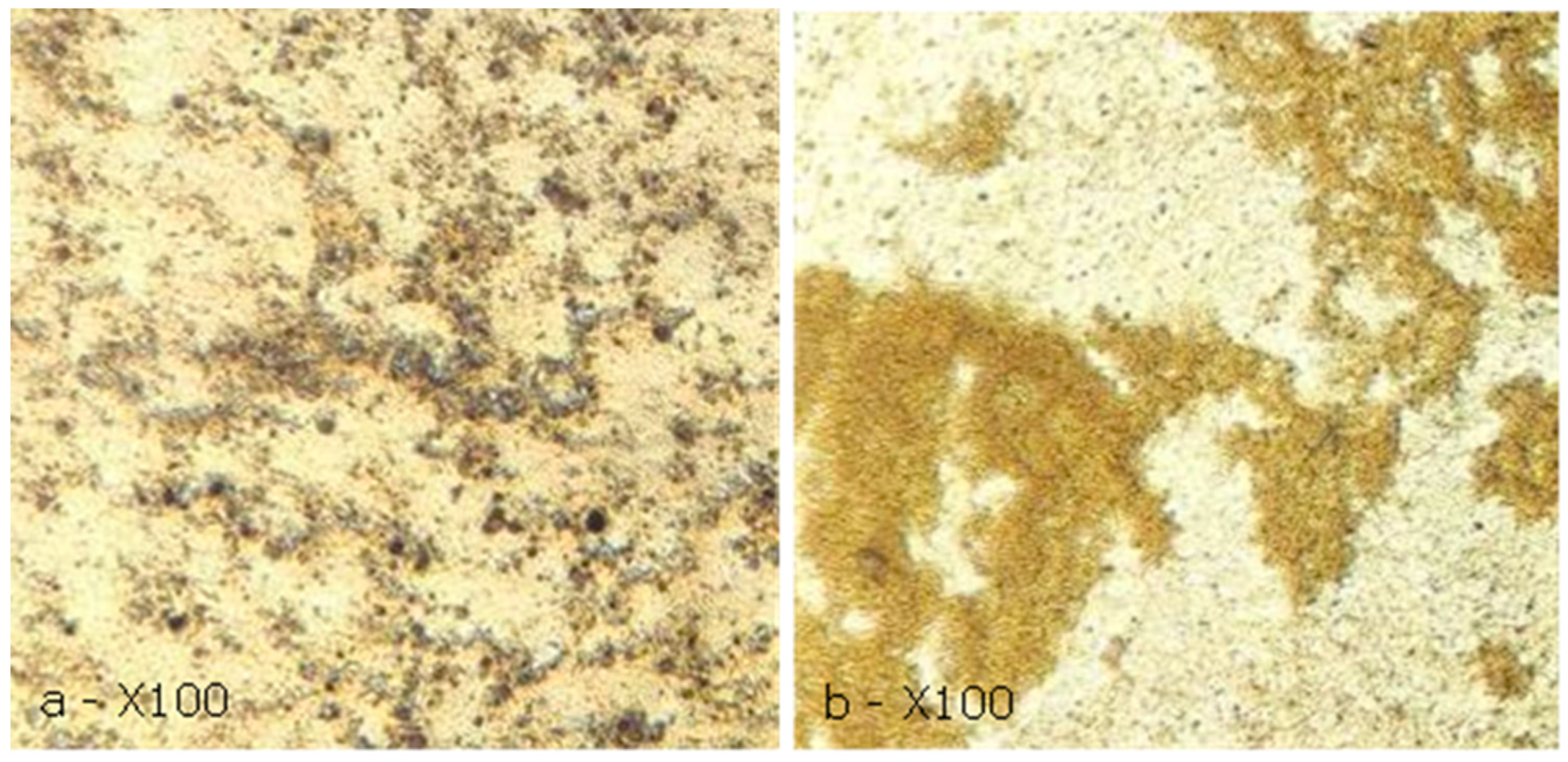 Energies 16 04990 g003