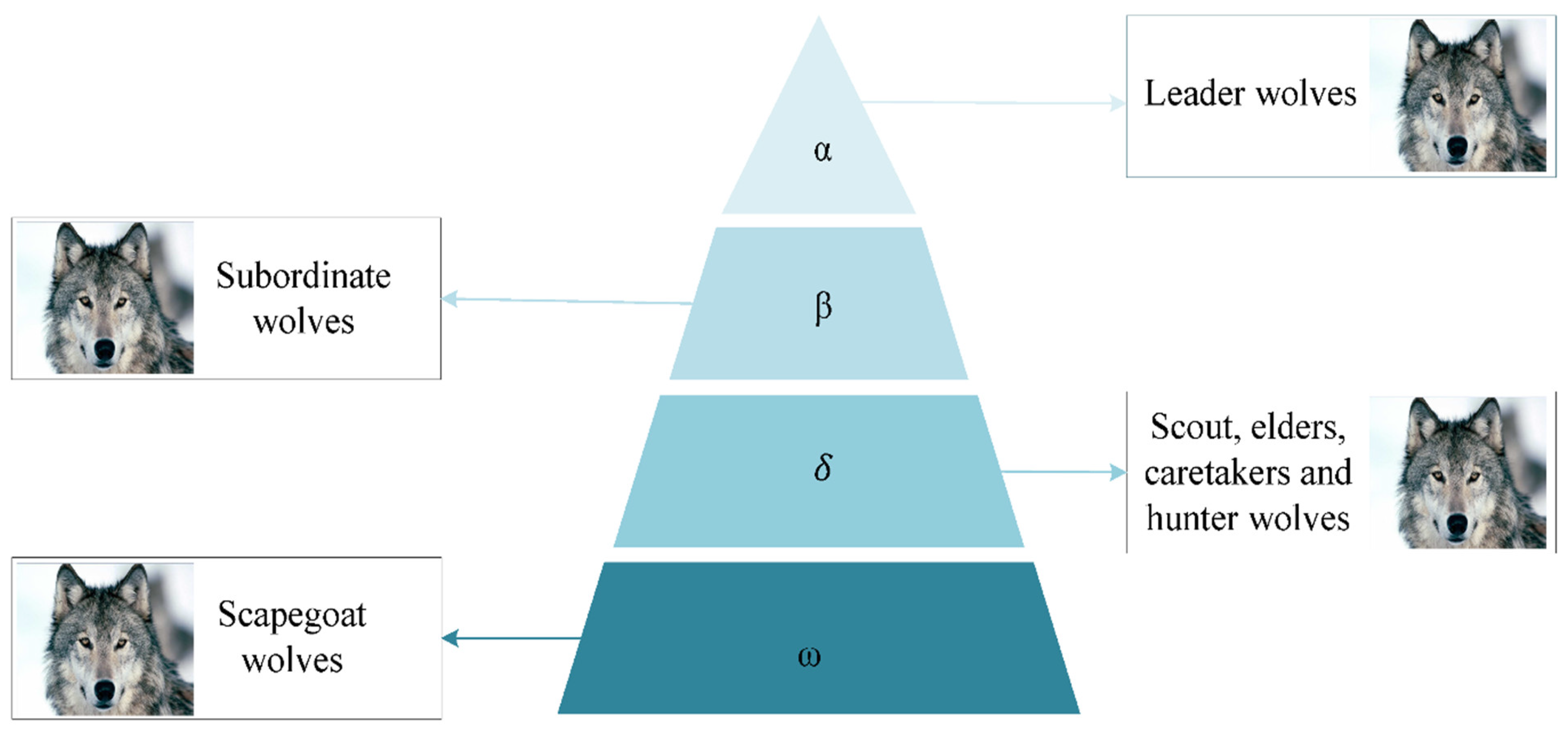 Lia Wolf'S X Algorithm: Optimizing For Success - i2ux47g