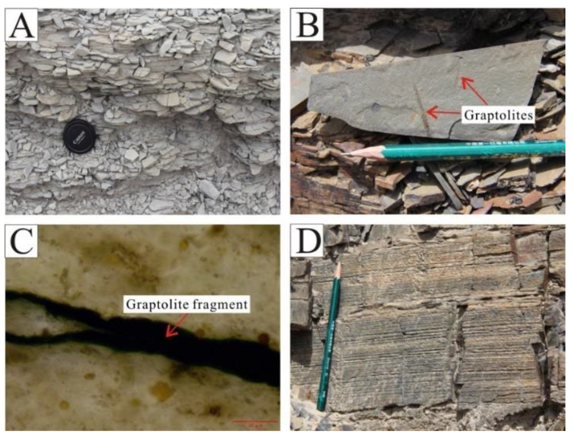 Energies 16 05278 g003