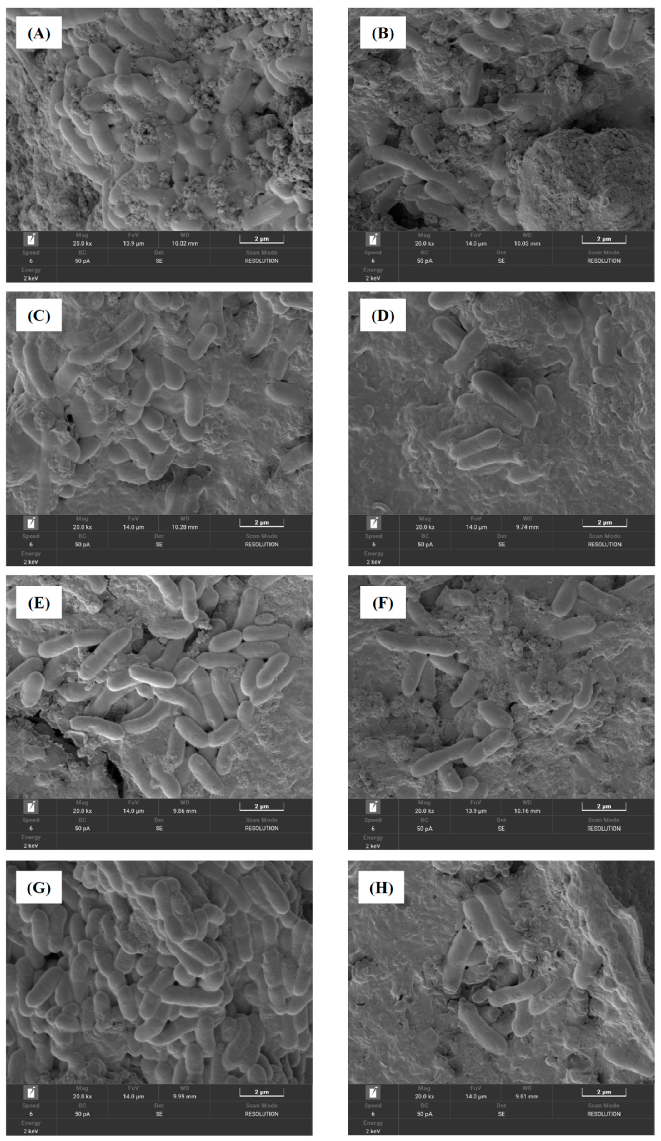 Energies 16 05284 g002