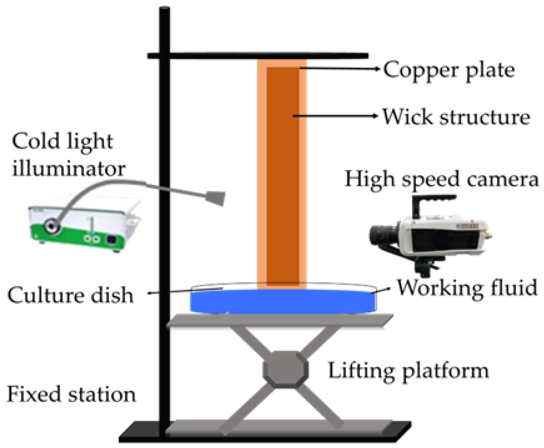 Energies 16 05348 g004 550