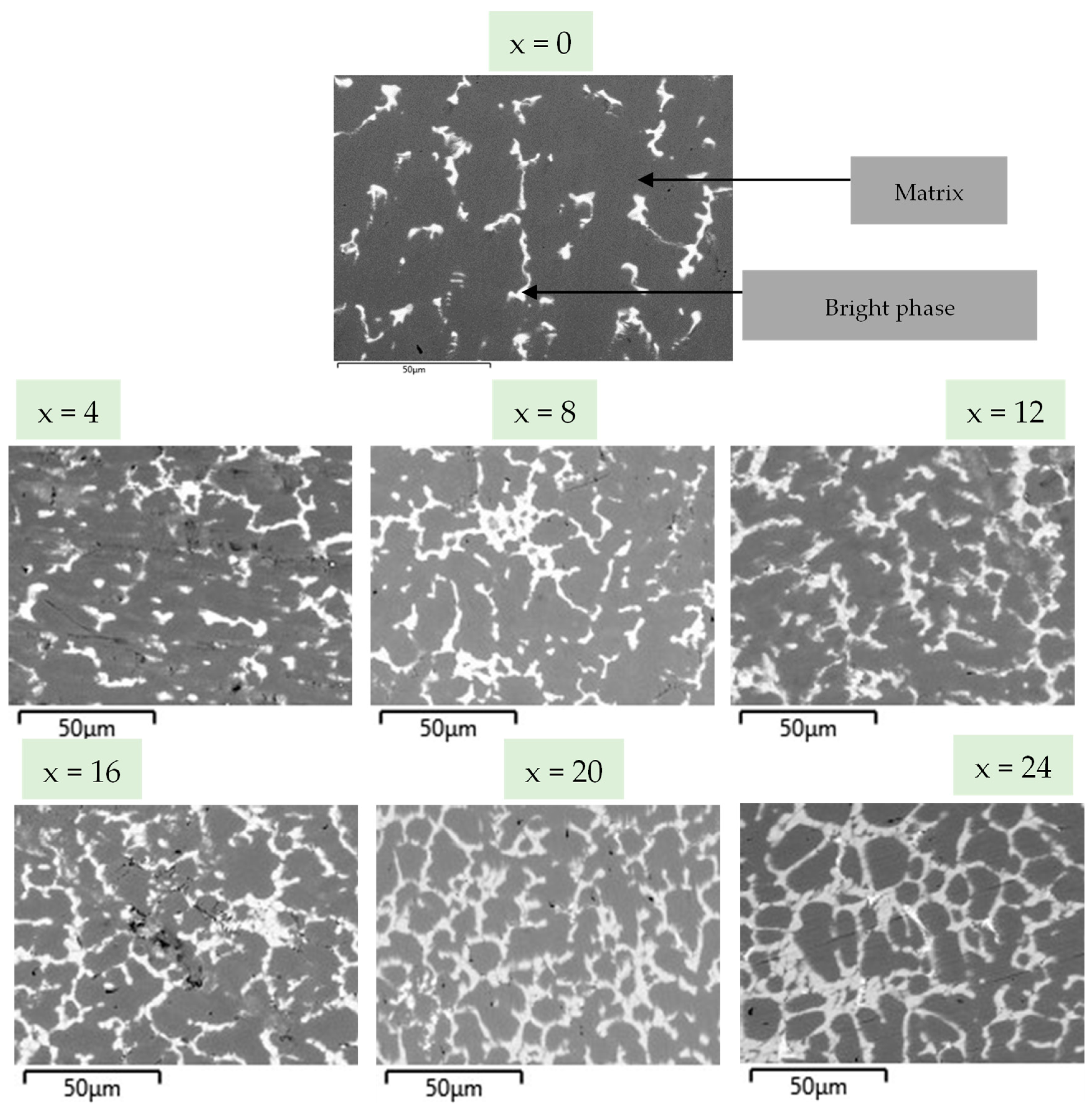 注文割引 Microstructure and First Hydrogenation Properties of デジモンカードゲーム