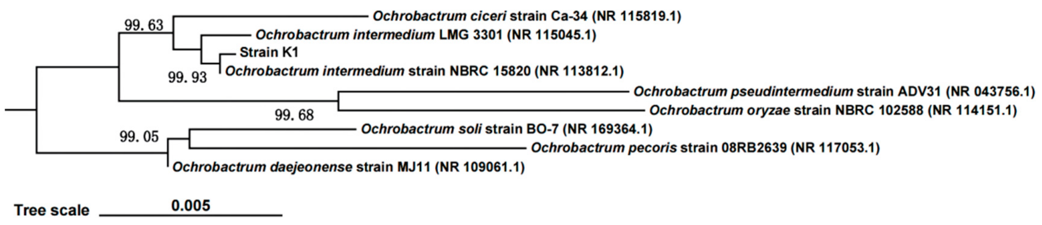 Energies 16 05582 g003