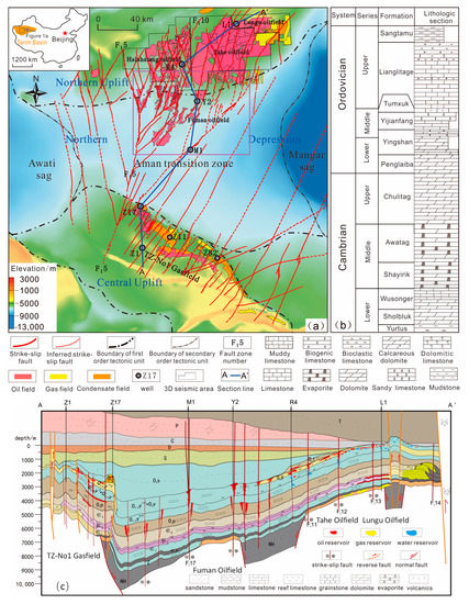 An Overview of the Differential Carbonate Reservoir