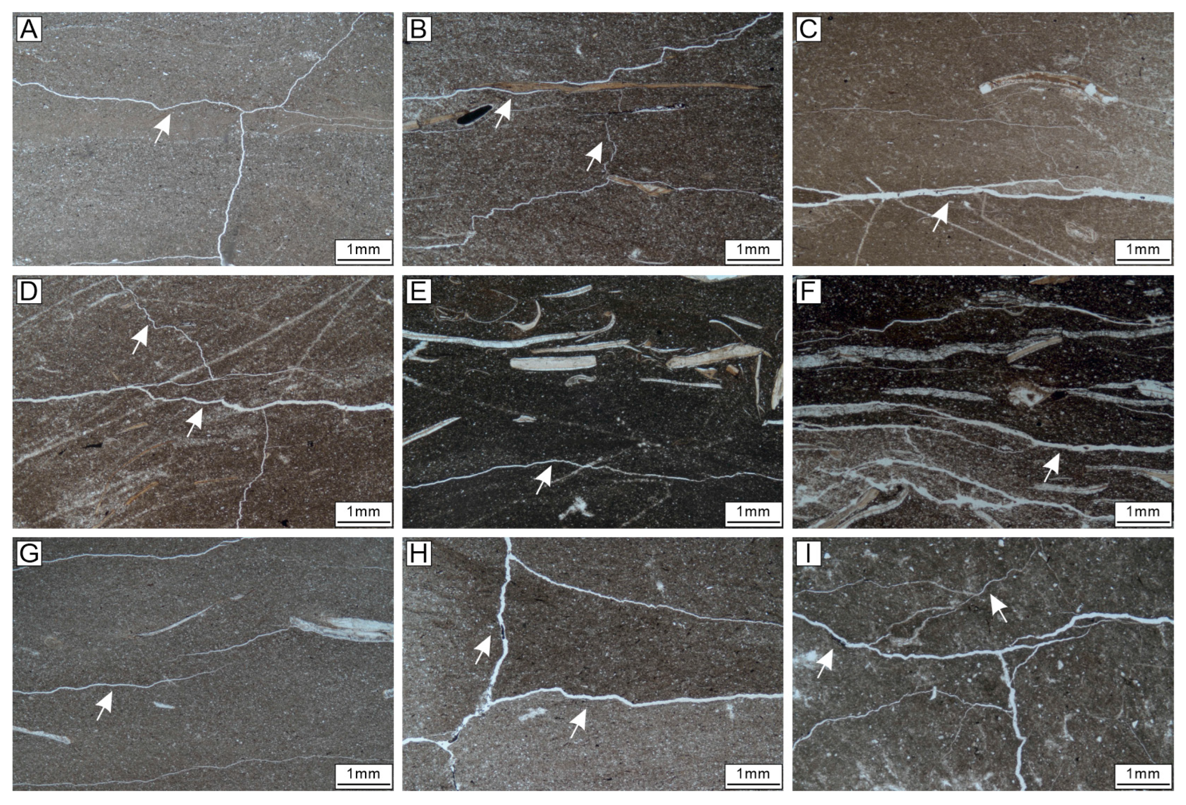 Energies 16 05685 g002 Energies 16 05685 g002