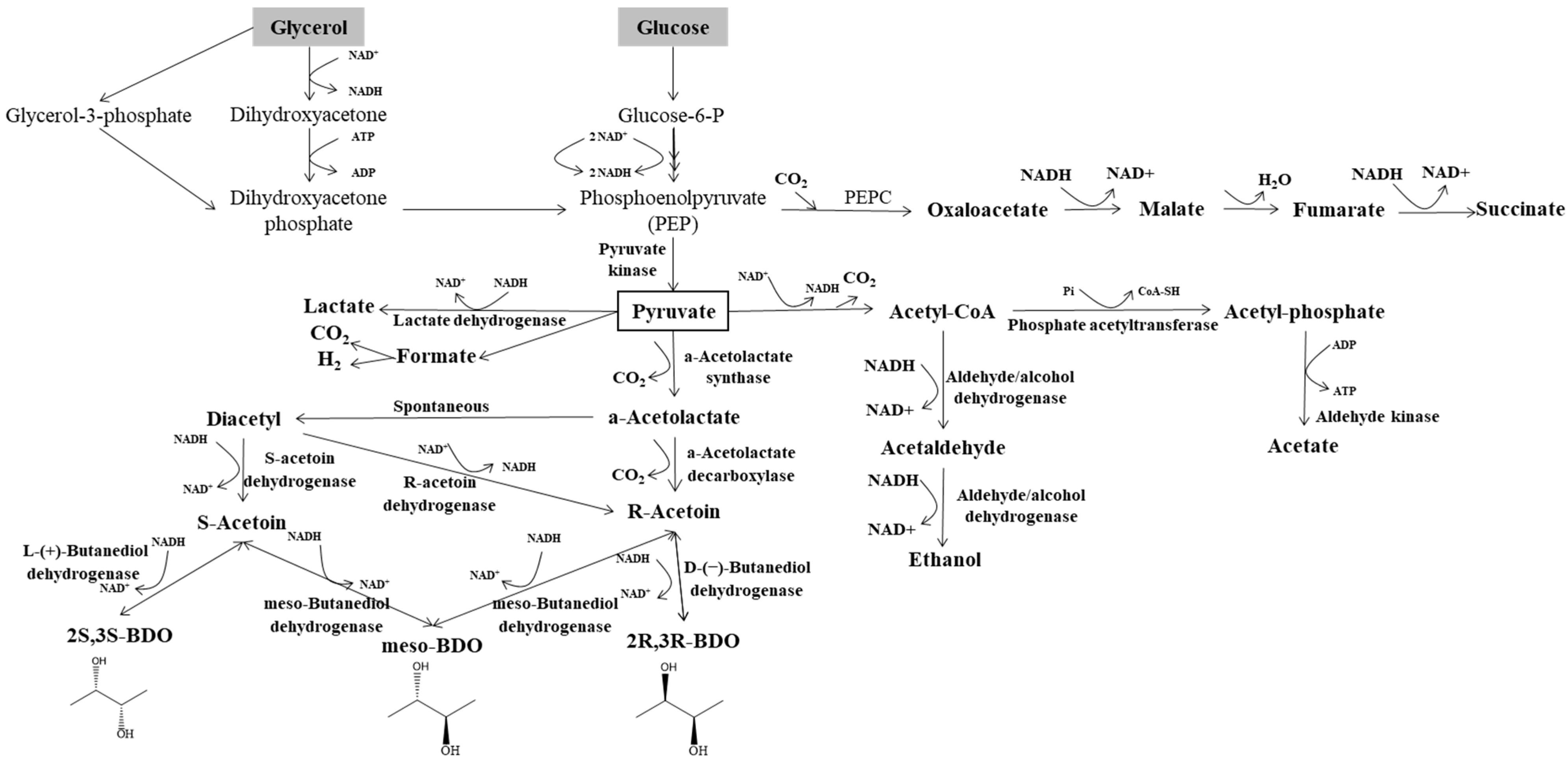 Energies 16 05802 g002