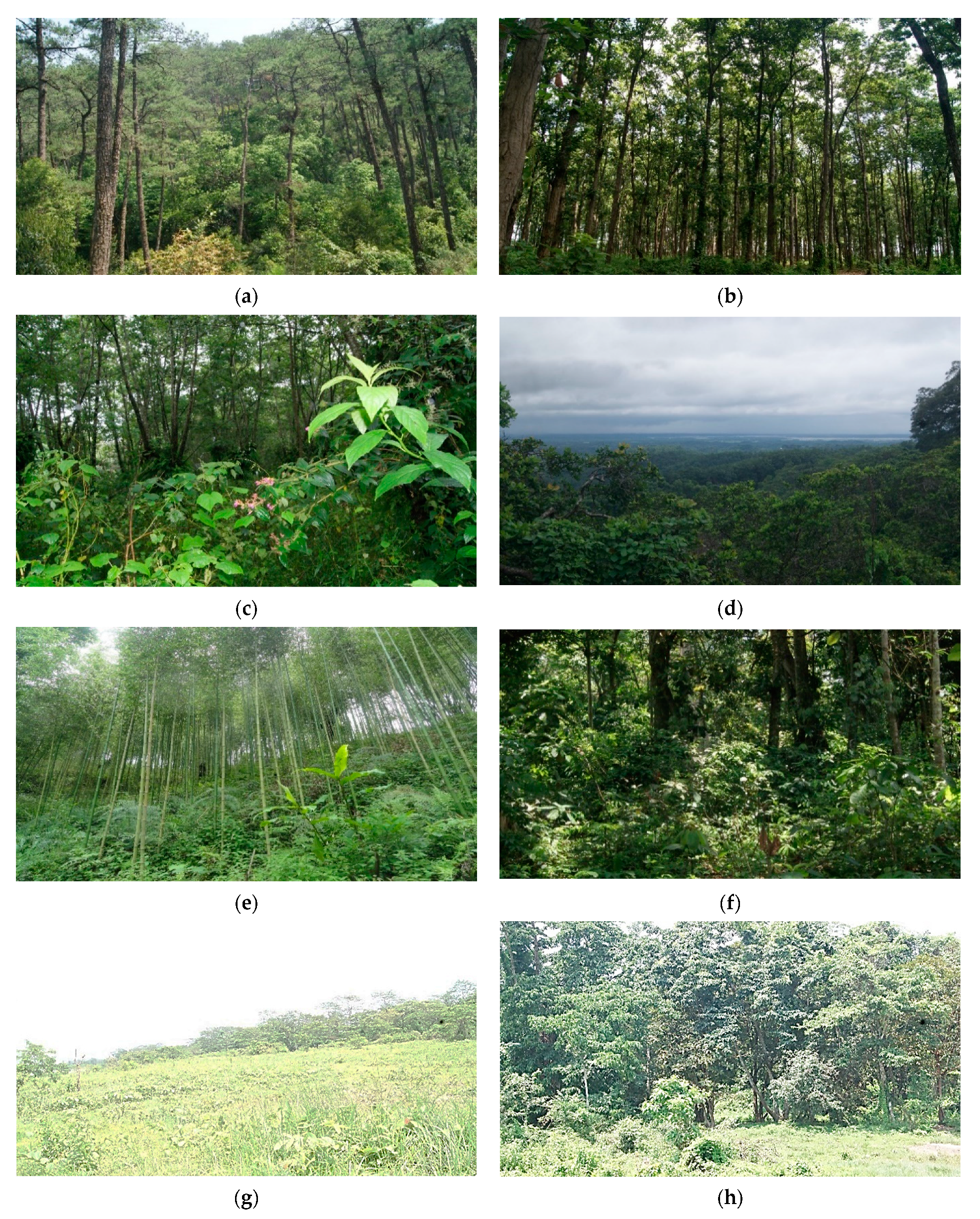 Energies 16 05805 g002