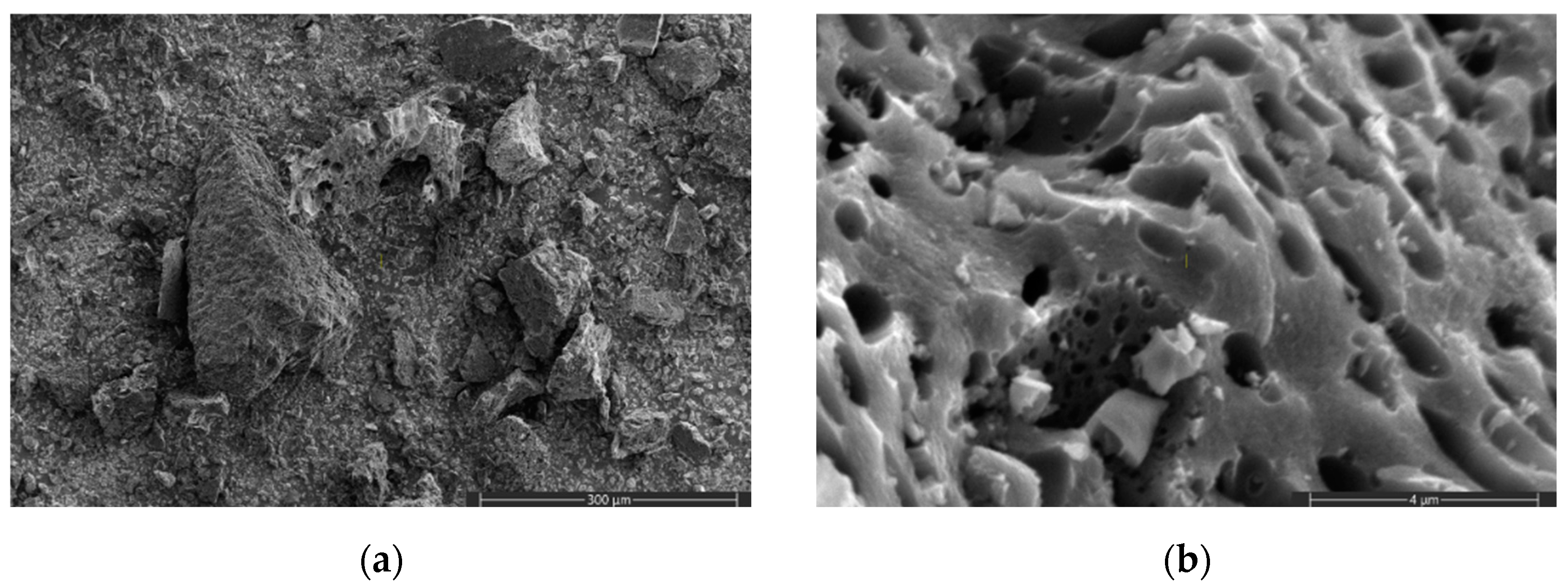 Energies 16 05808 g004