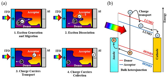 キャンベル Current Progress of Efficient Active Layers for Organic