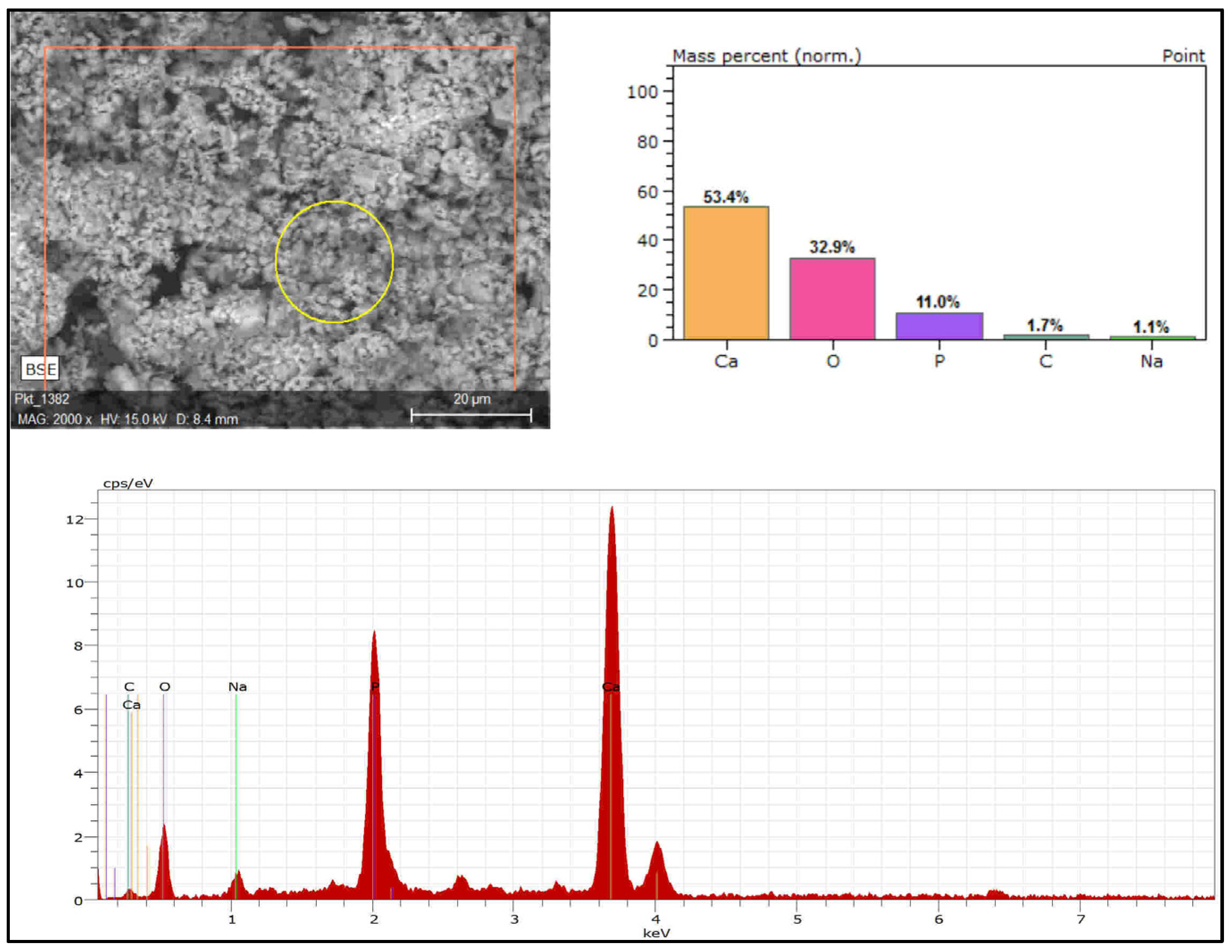 Energies 16 05911 g008