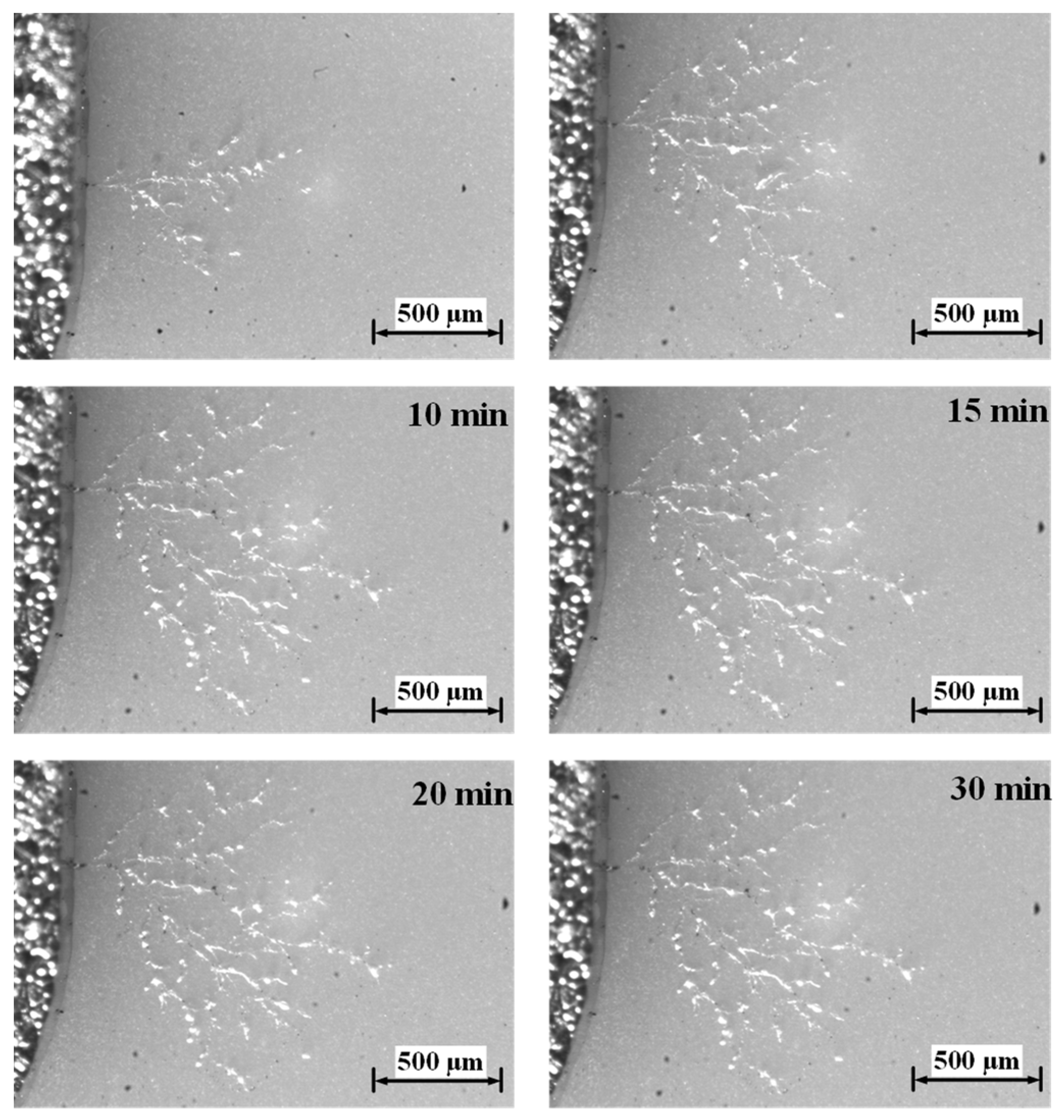 Energies 16 06001 g011