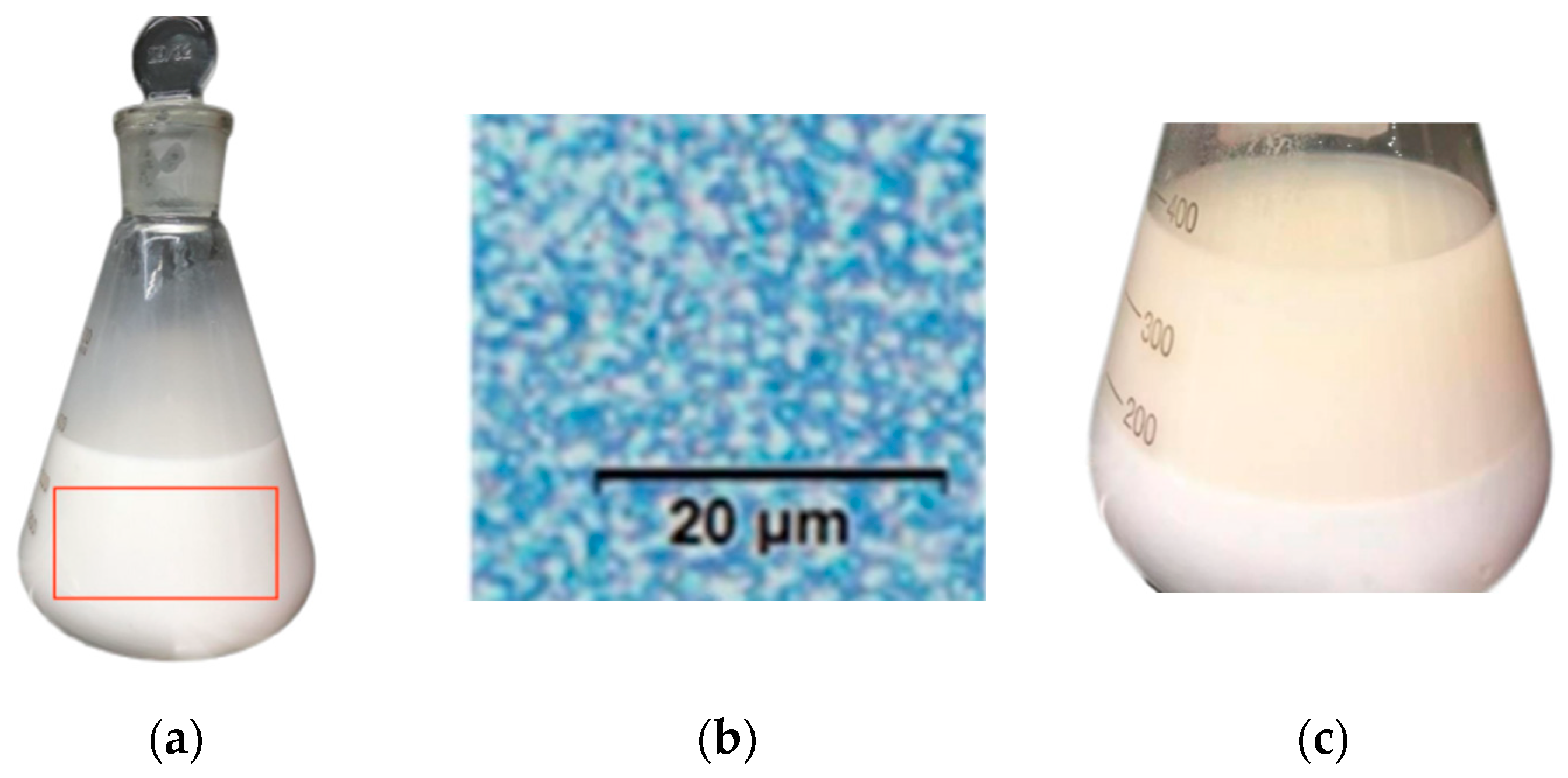 Energies 16 06026 g003