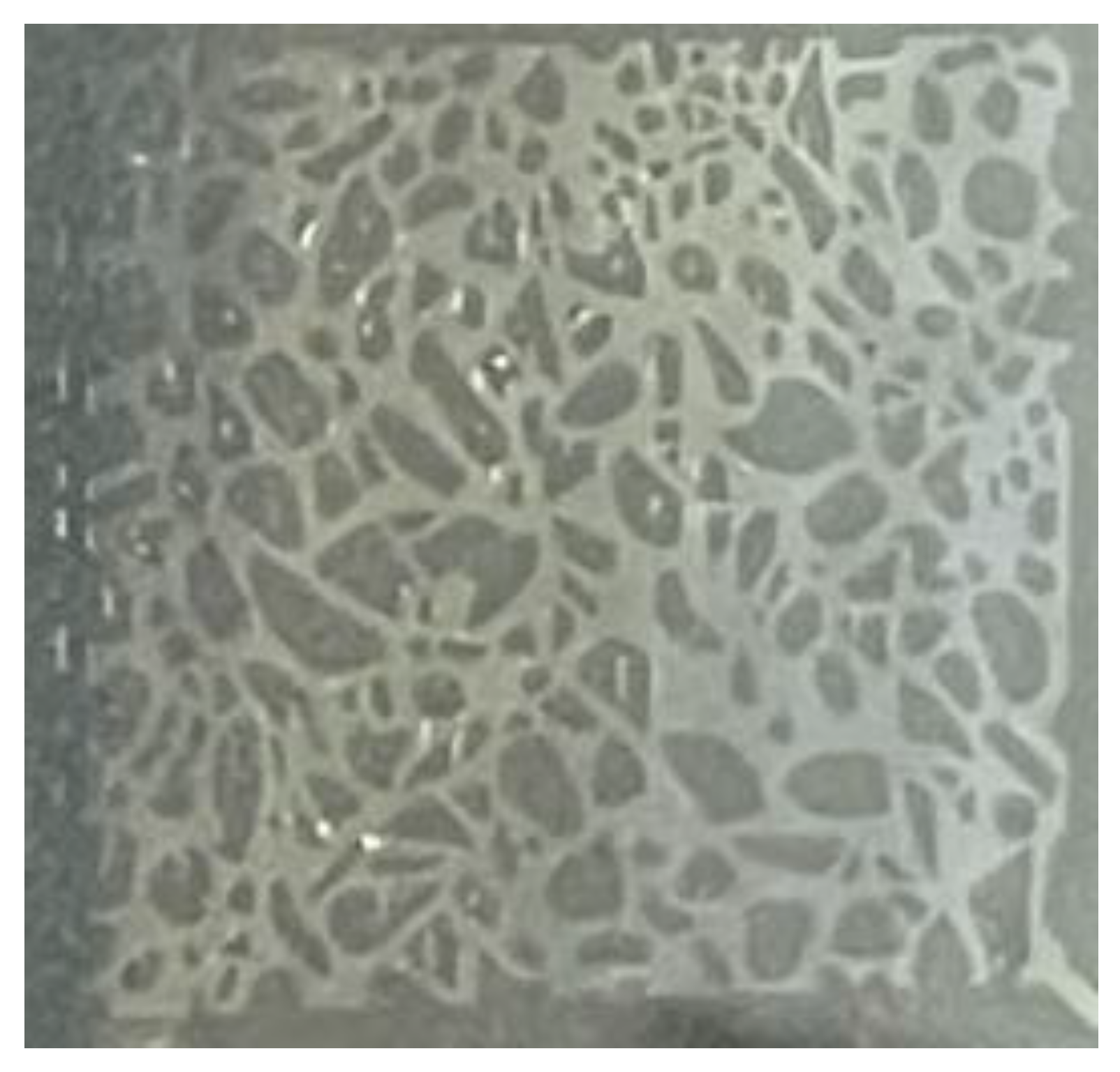 Energies 16 06101 g004