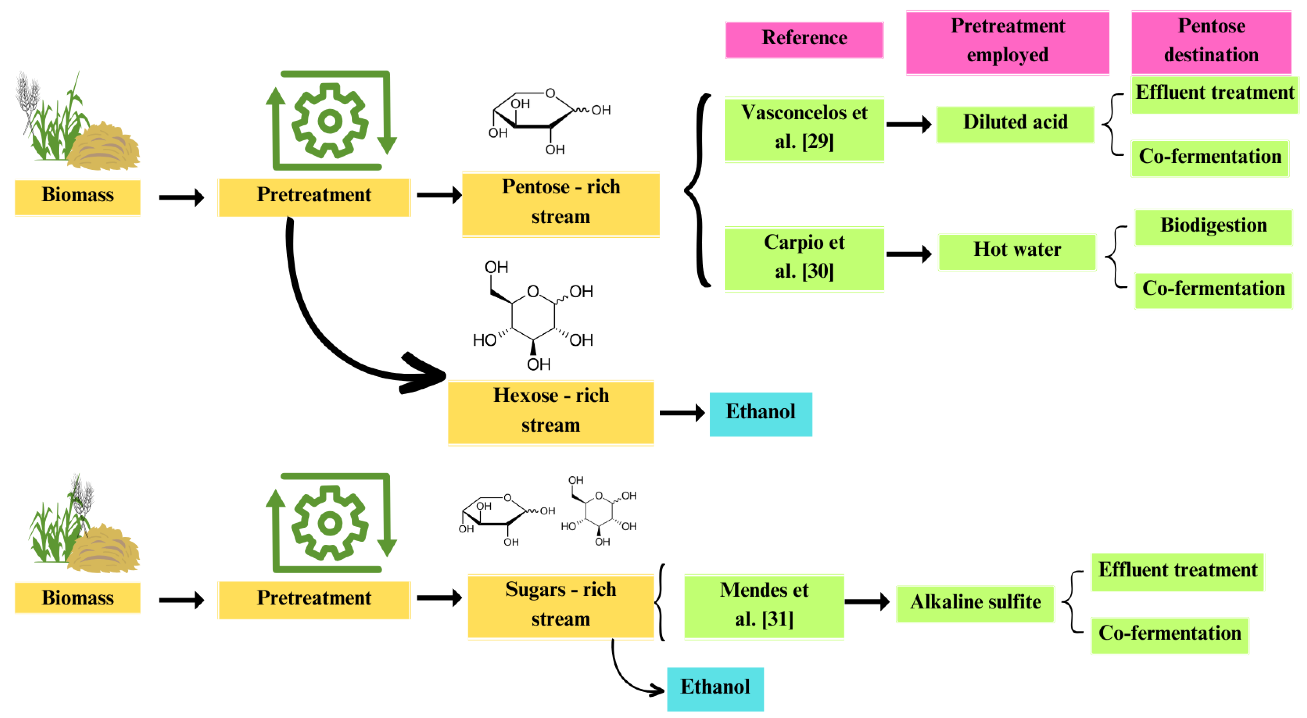 Sustainable bioethanol production from first- and second-generation  sugar-based feedstocks: Advanced bibliometric analysis - ScienceDirect