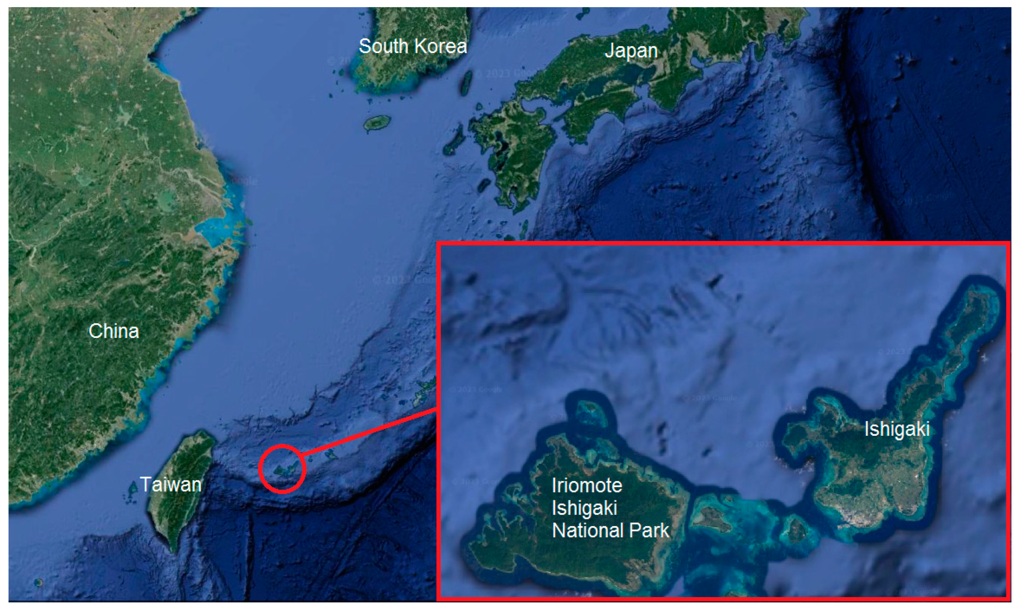 Energies 16 06440 g003