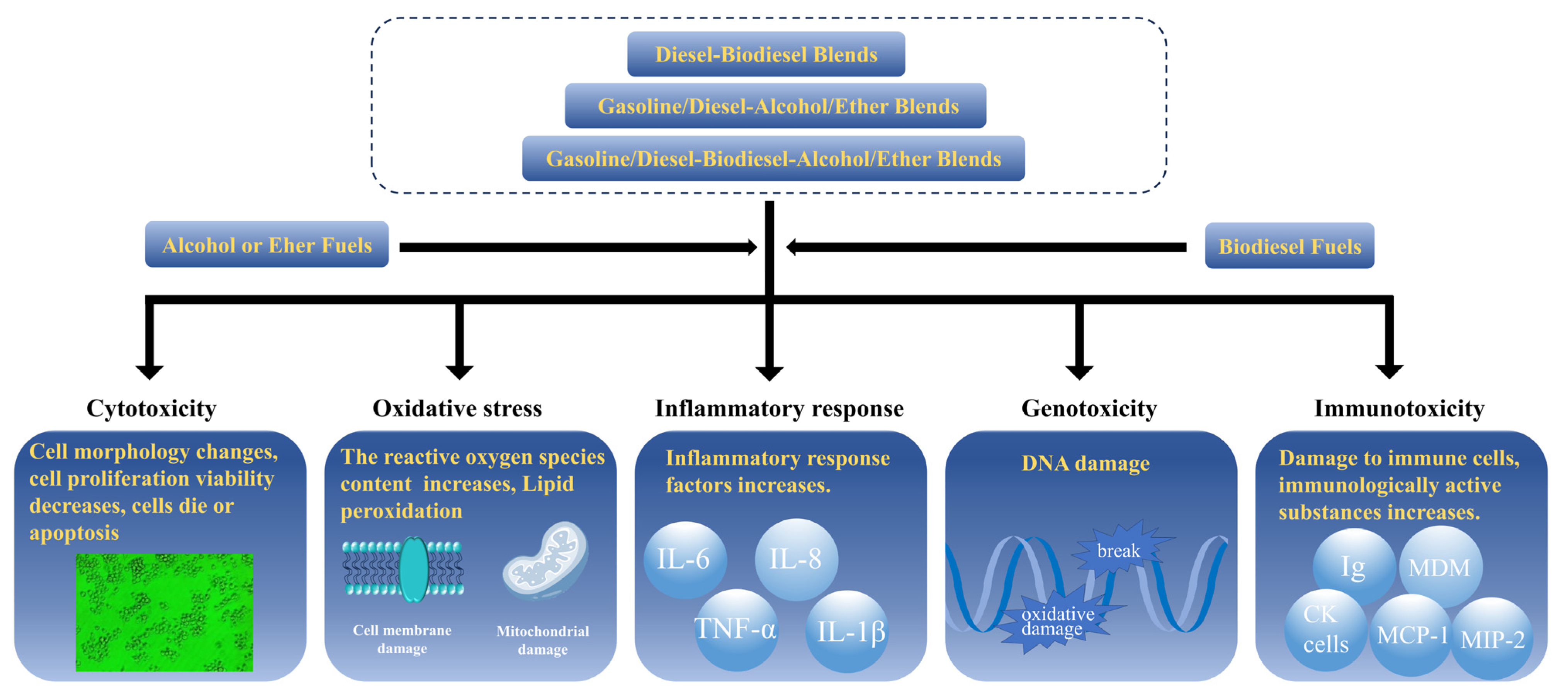 Energies 16 06507 g002 Energies 16 06507 g002