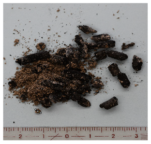 Energies 16 06539 i003