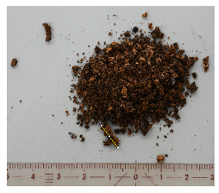 Energies 16 06539 i005