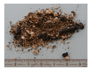 Energies 16 06539 i007