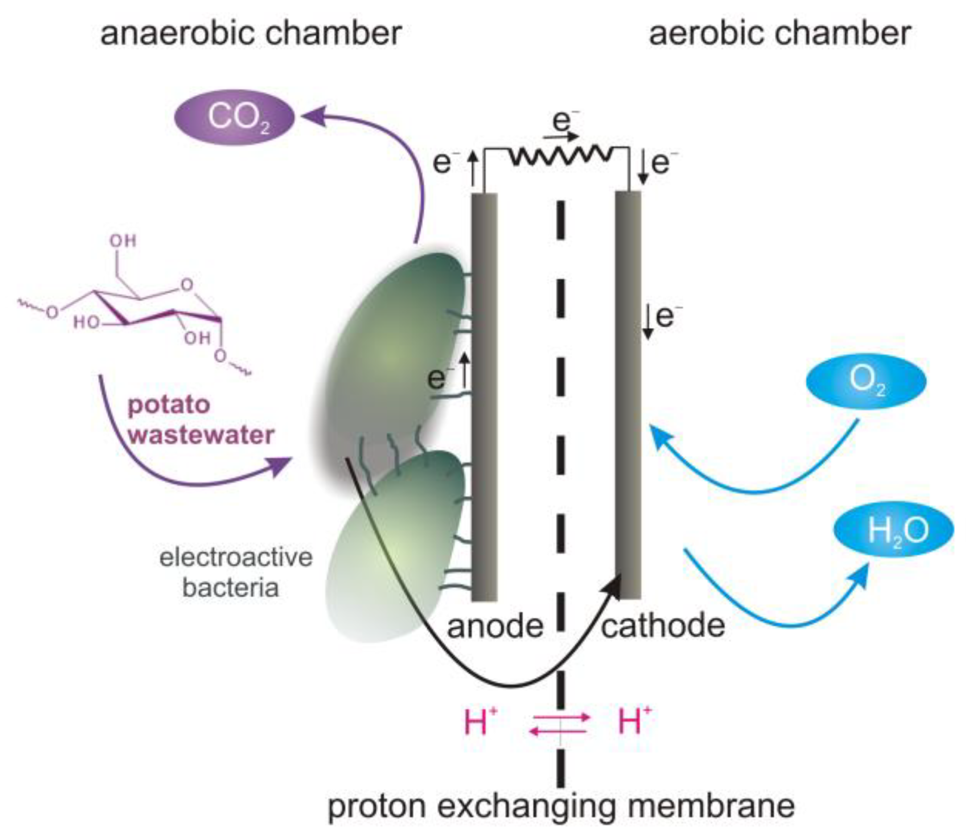 Energies 16 06581 g001
