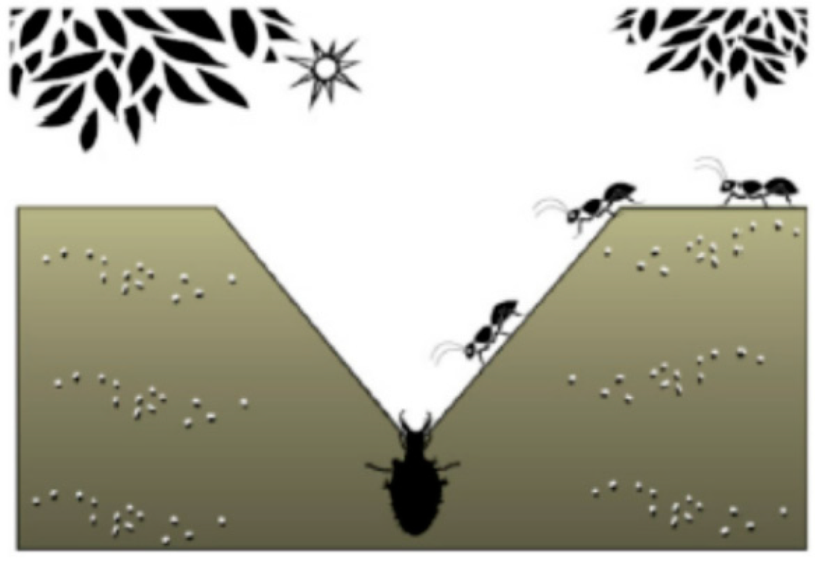 Energies 16 06590 g001