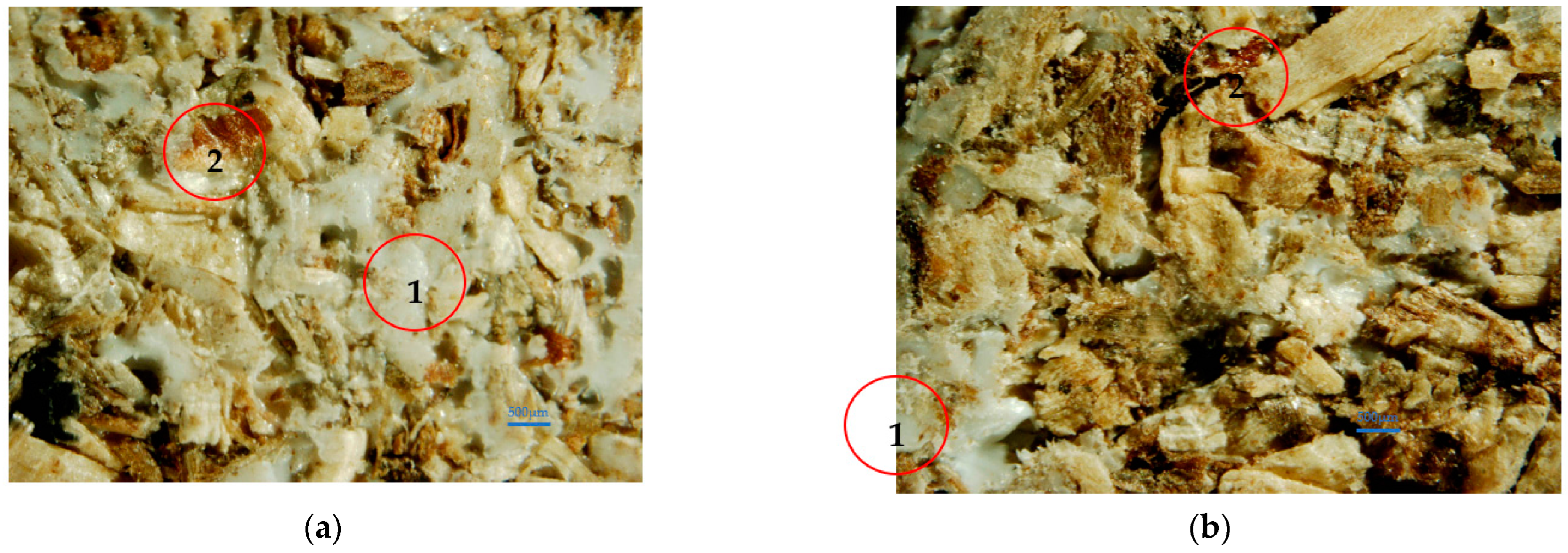 Energies 16 06591 g003