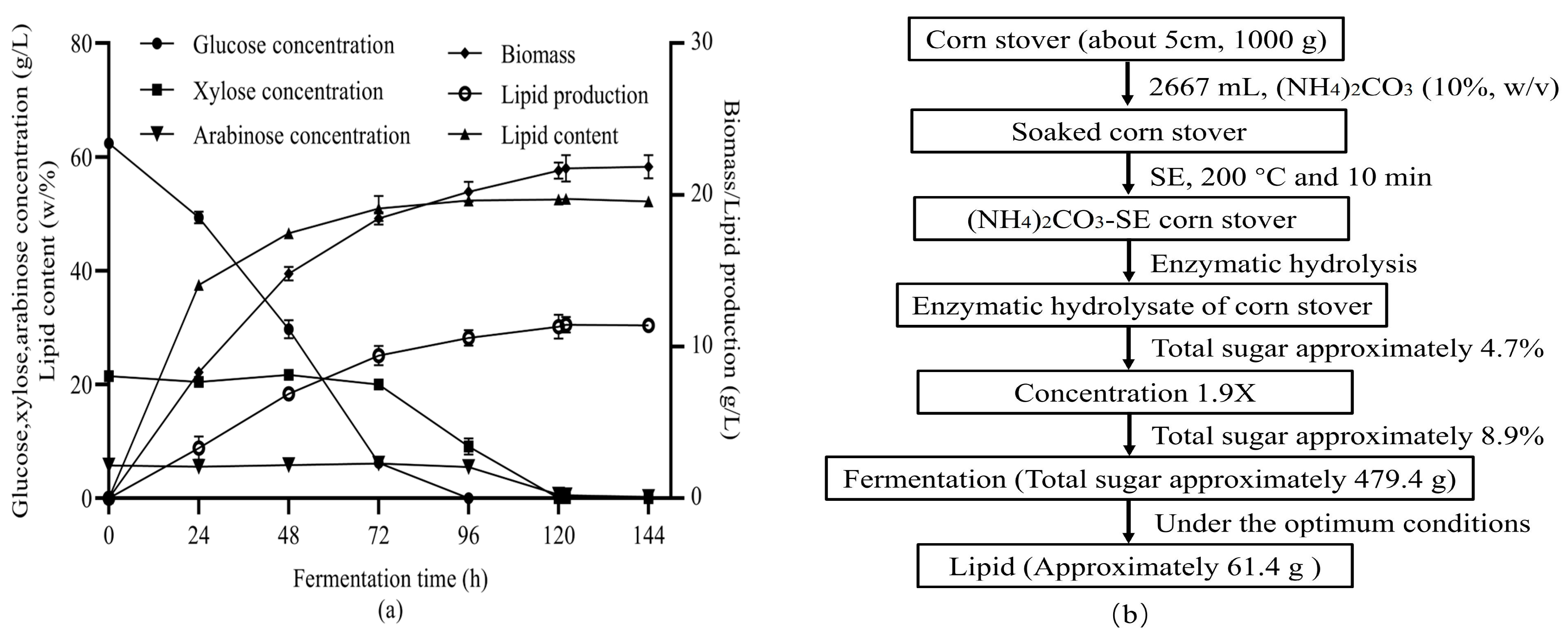 Energies 16 06630 g005
